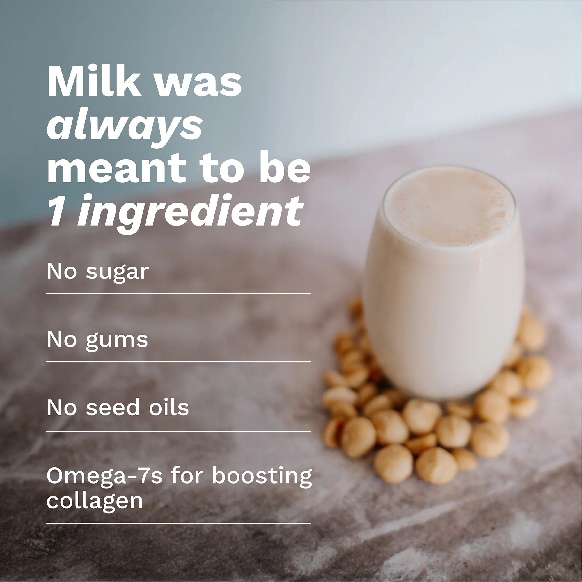100% Macadamia Milk (12 Packs) - Image 5