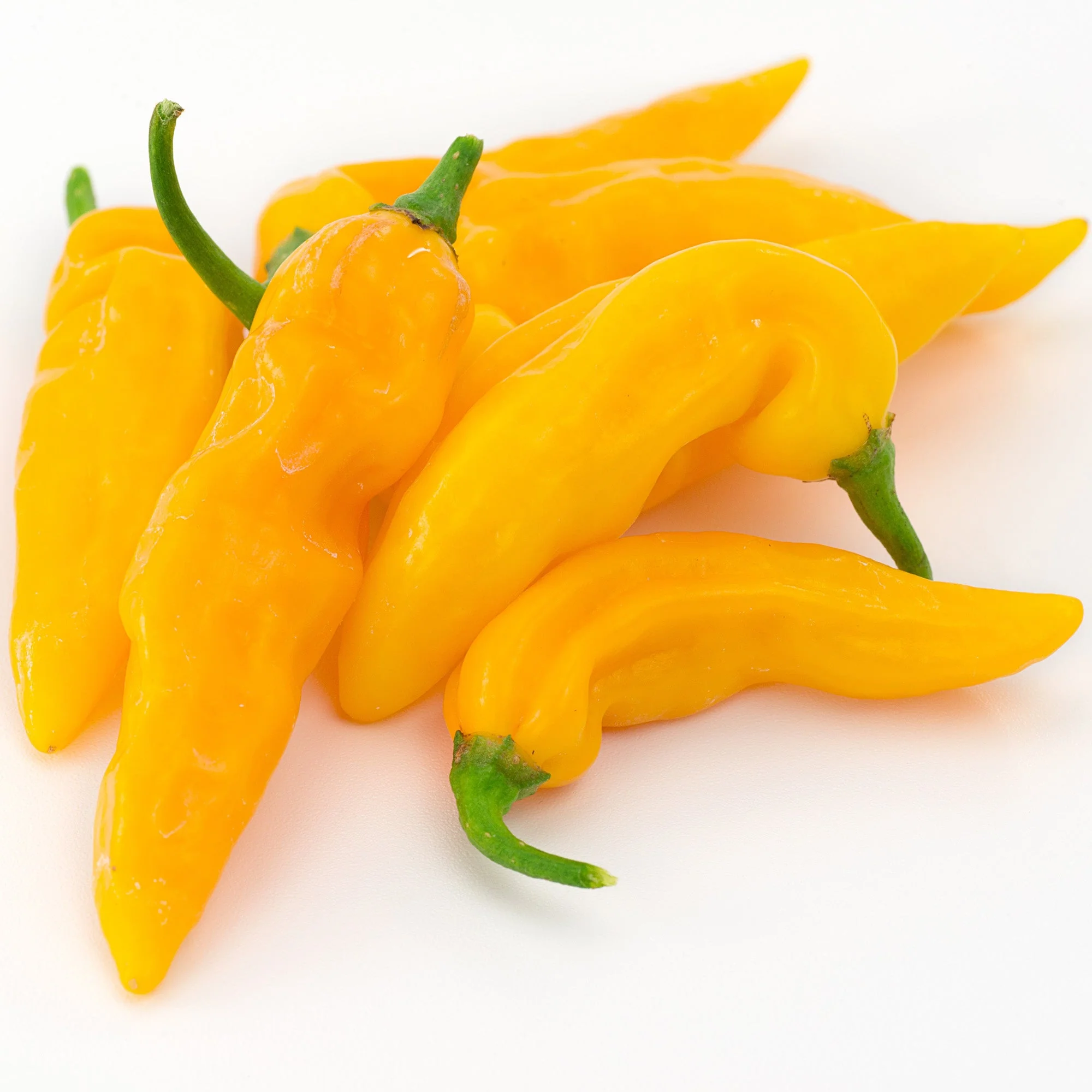 Aji Amarillo Chili Powder - Image 13