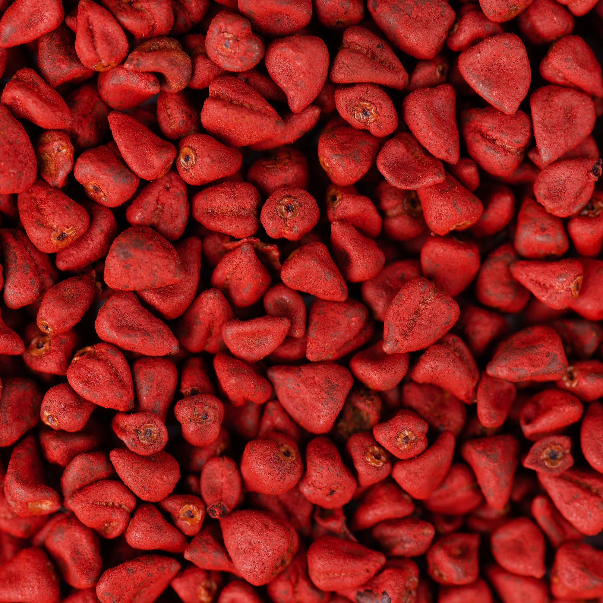 Annatto Seeds (Whole) - Image 11