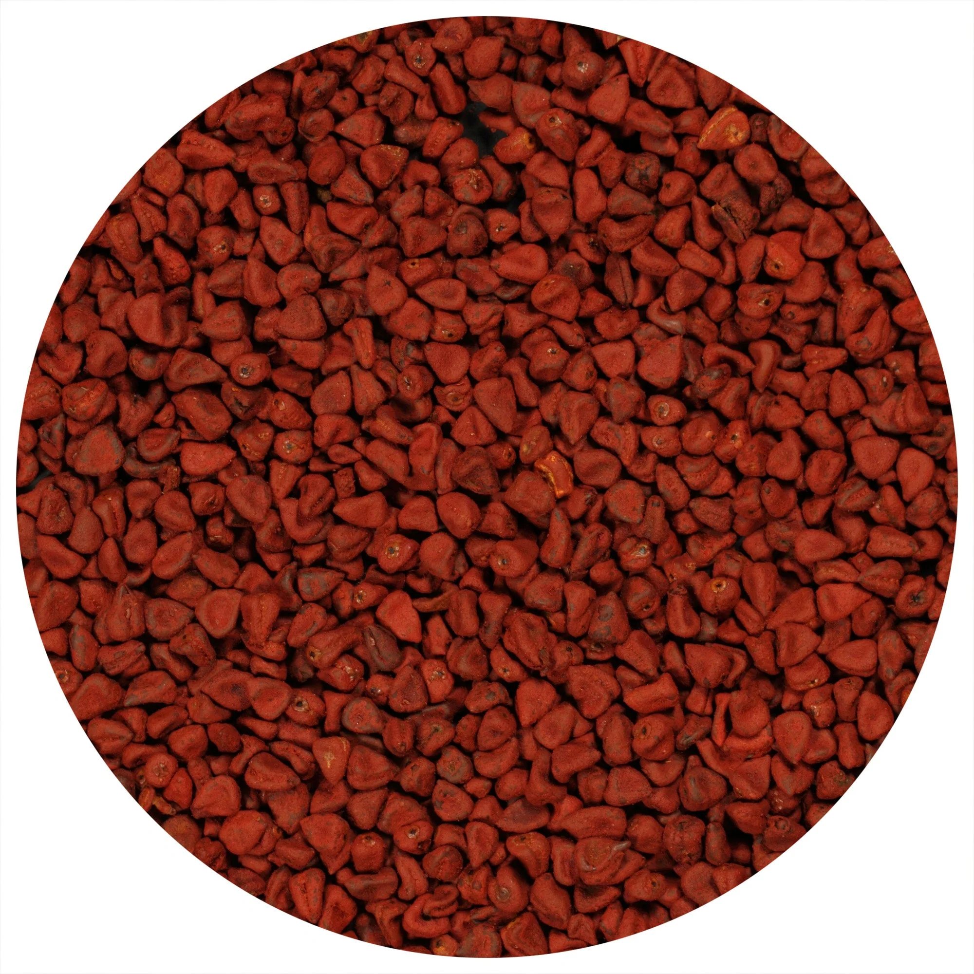 Annatto Seeds (Whole) - Image 2