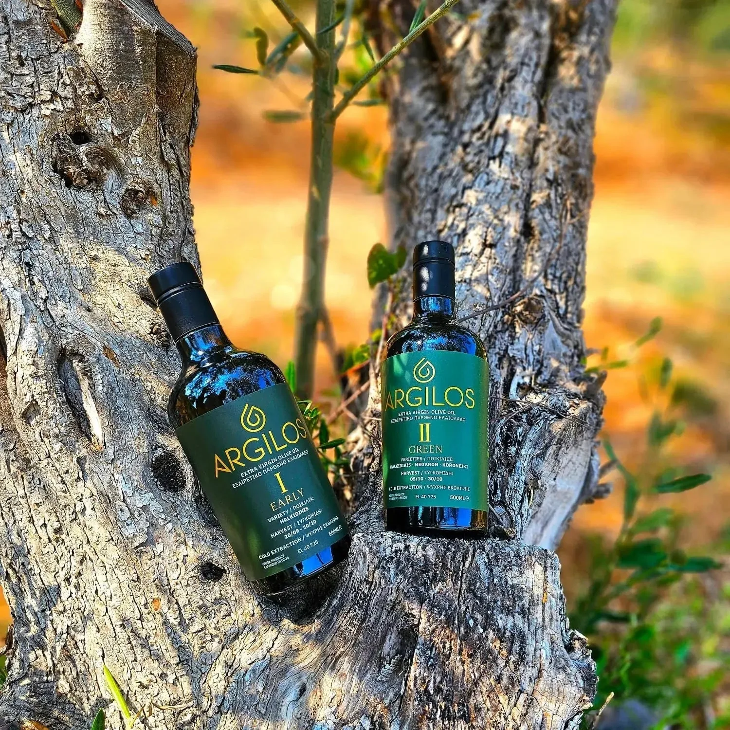 ARGILOS Early Harvest Greek Extra Virgin Olive Oil Bundle - Image 5