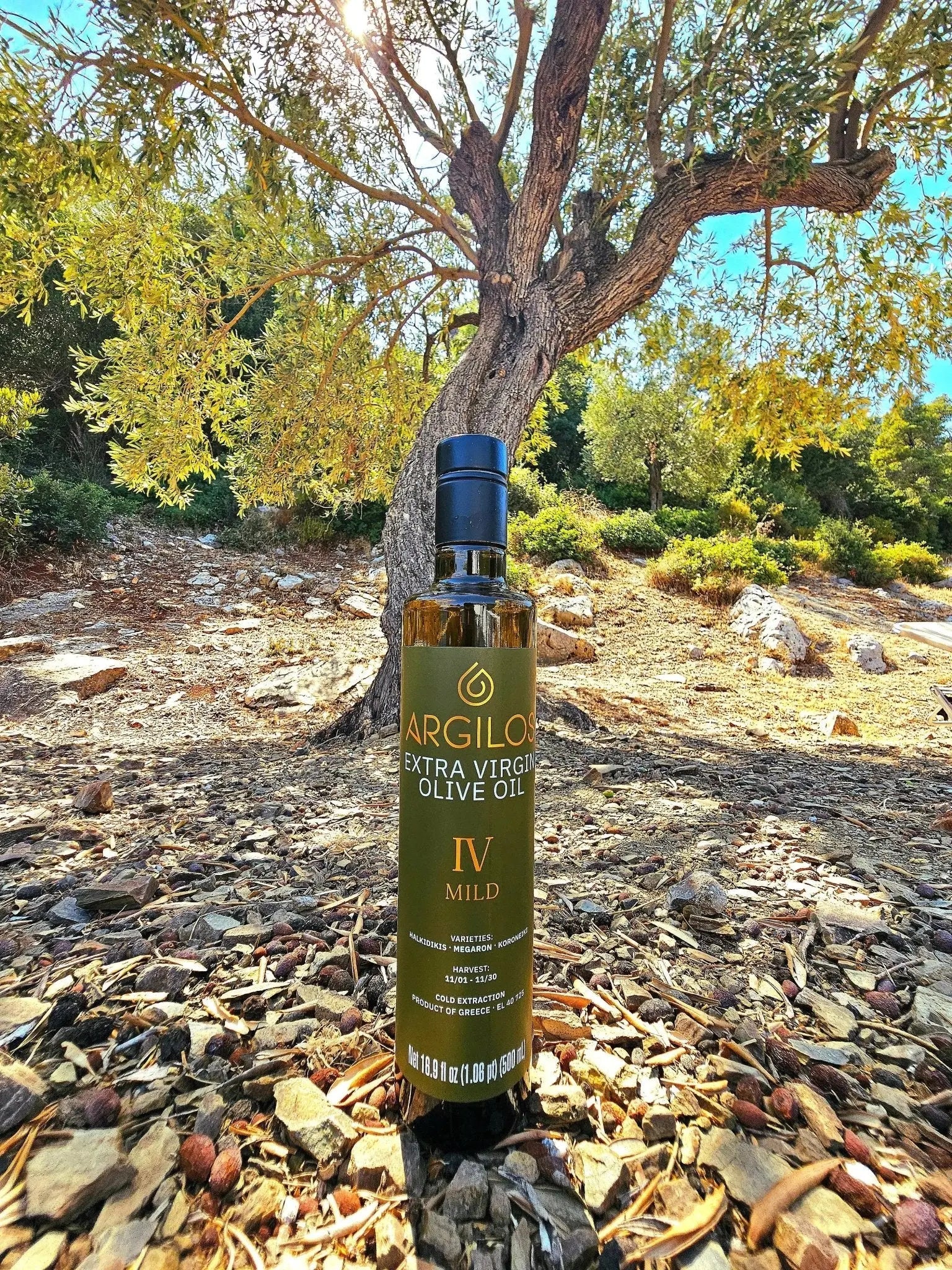 ARGILOS IV MILD Greek Extra Virgin Olive Oil (500ml) - Image 13