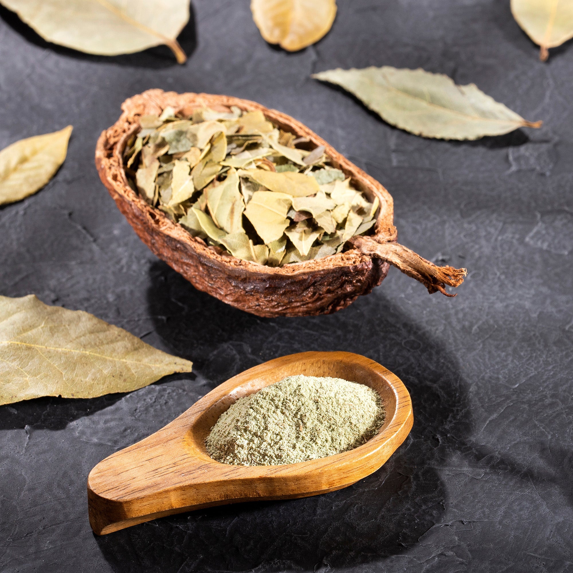 Bay Leaves (Cracked) - Image 6