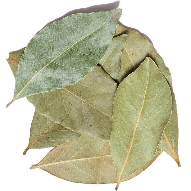 Bay Leaves, Turkish - Image 4