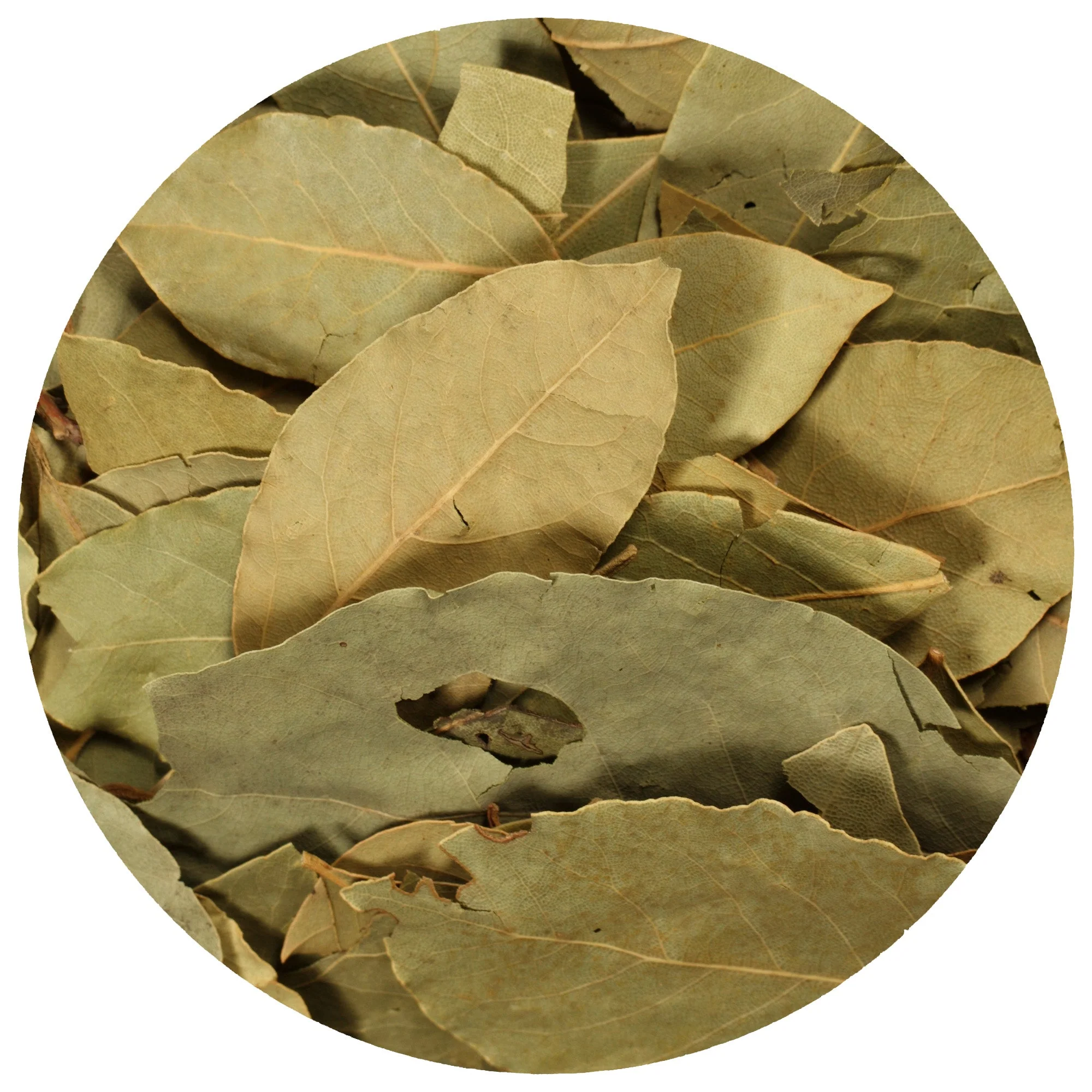 Bay Leaves (Whole) - Image 2