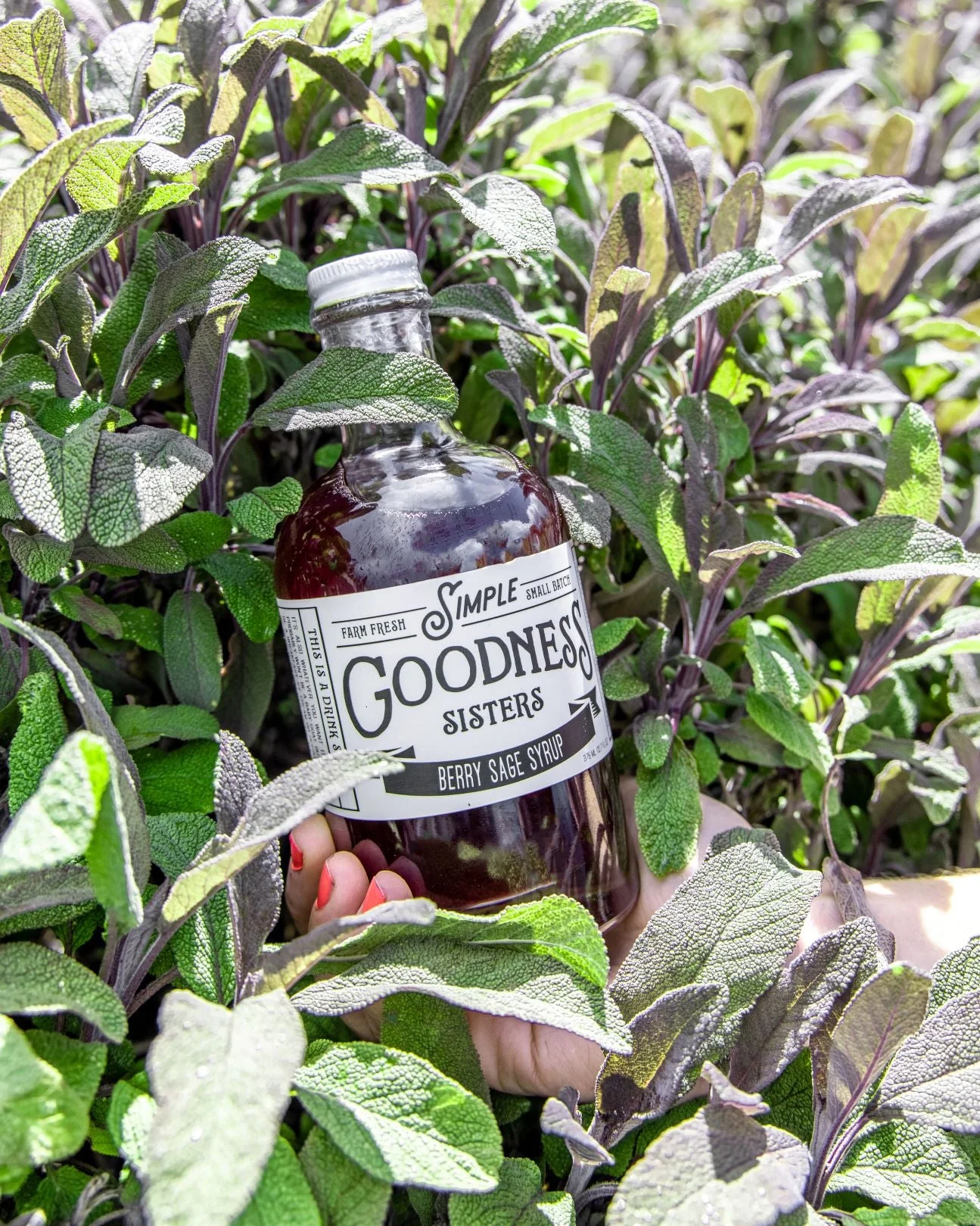 Berry Sage Syrup - Image 2