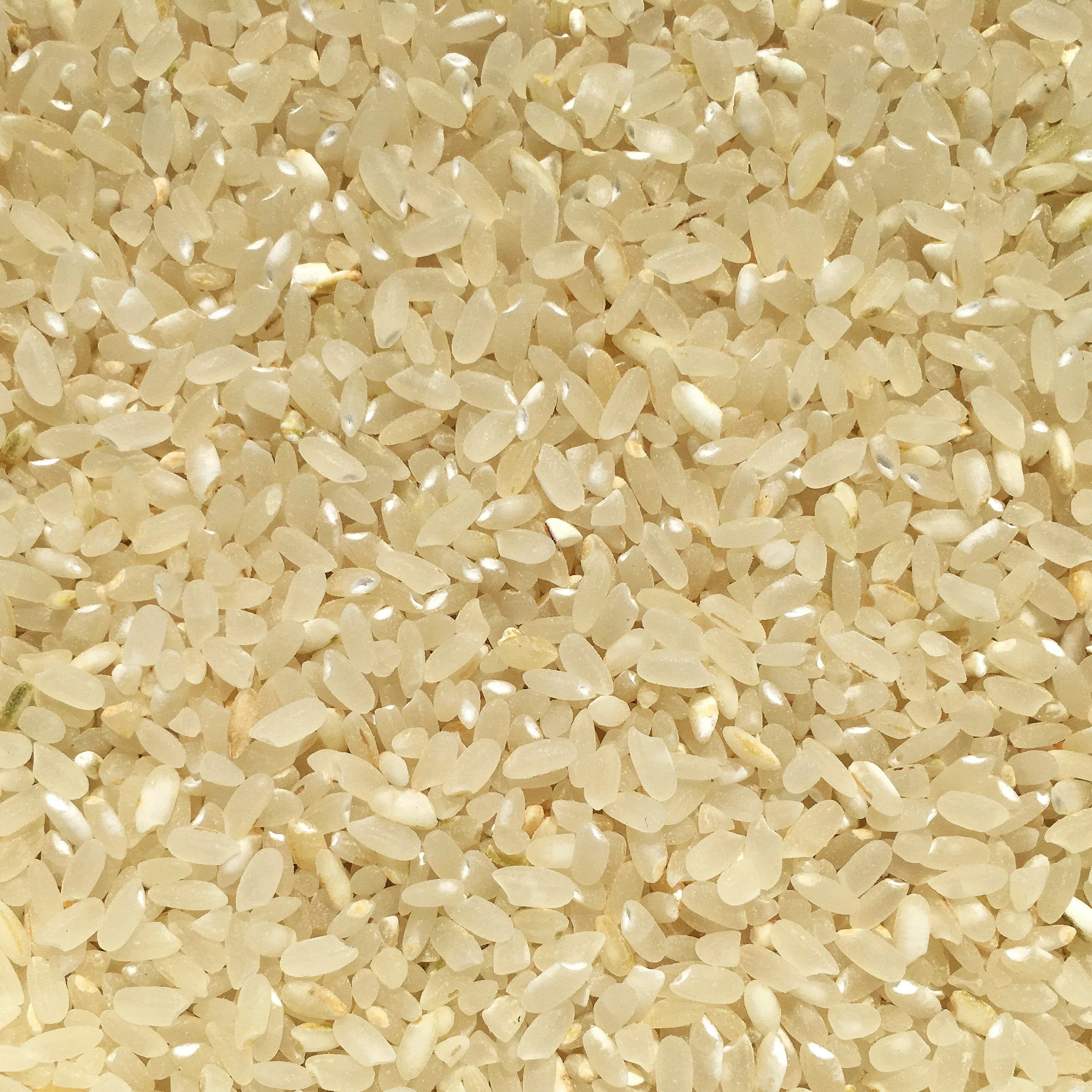 Blonde Milled Califor﻿nia Japonica (2 lbs) - Image 5