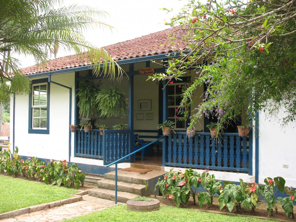 Brazil Decaf - Image 10