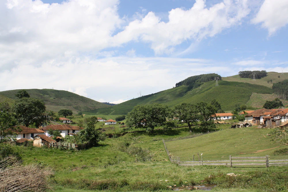 Brazil Decaf - Image 6