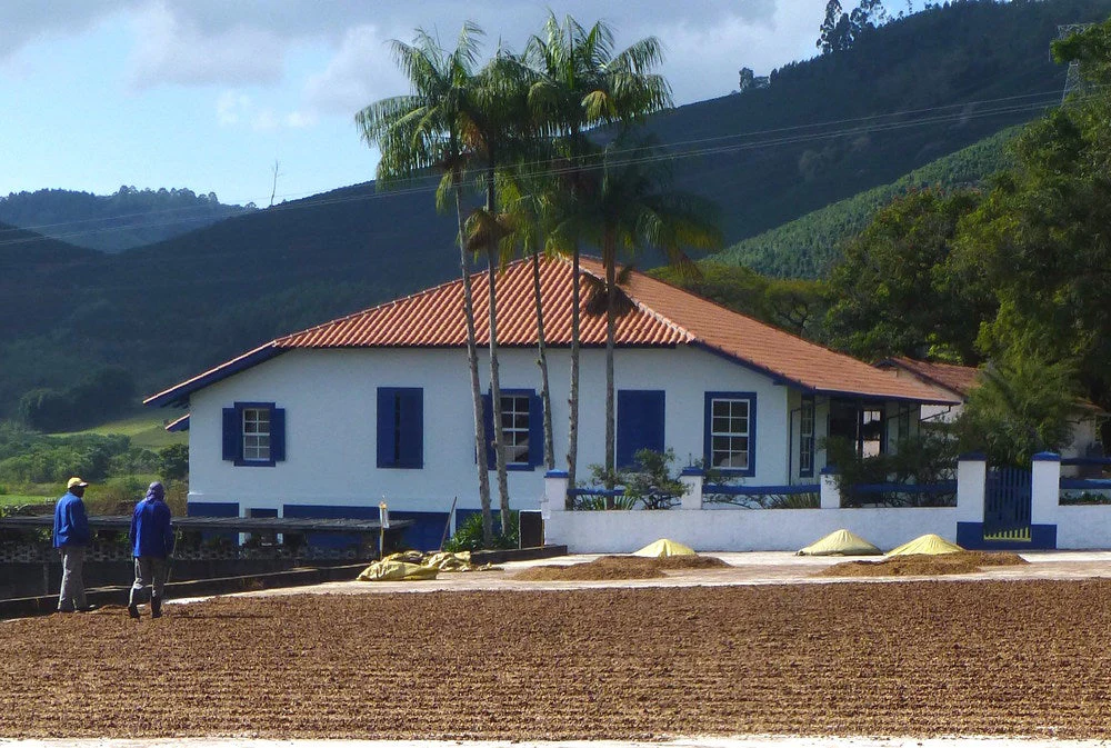 Brazil Decaf - Image 9