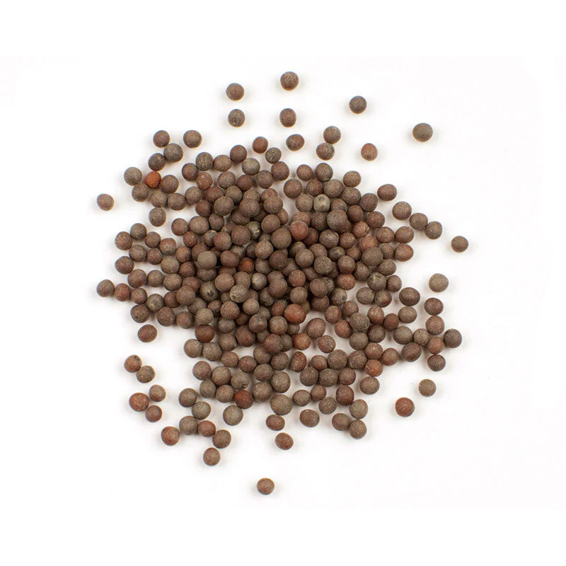 Brown Mustard Seeds (Whole) - Image 8