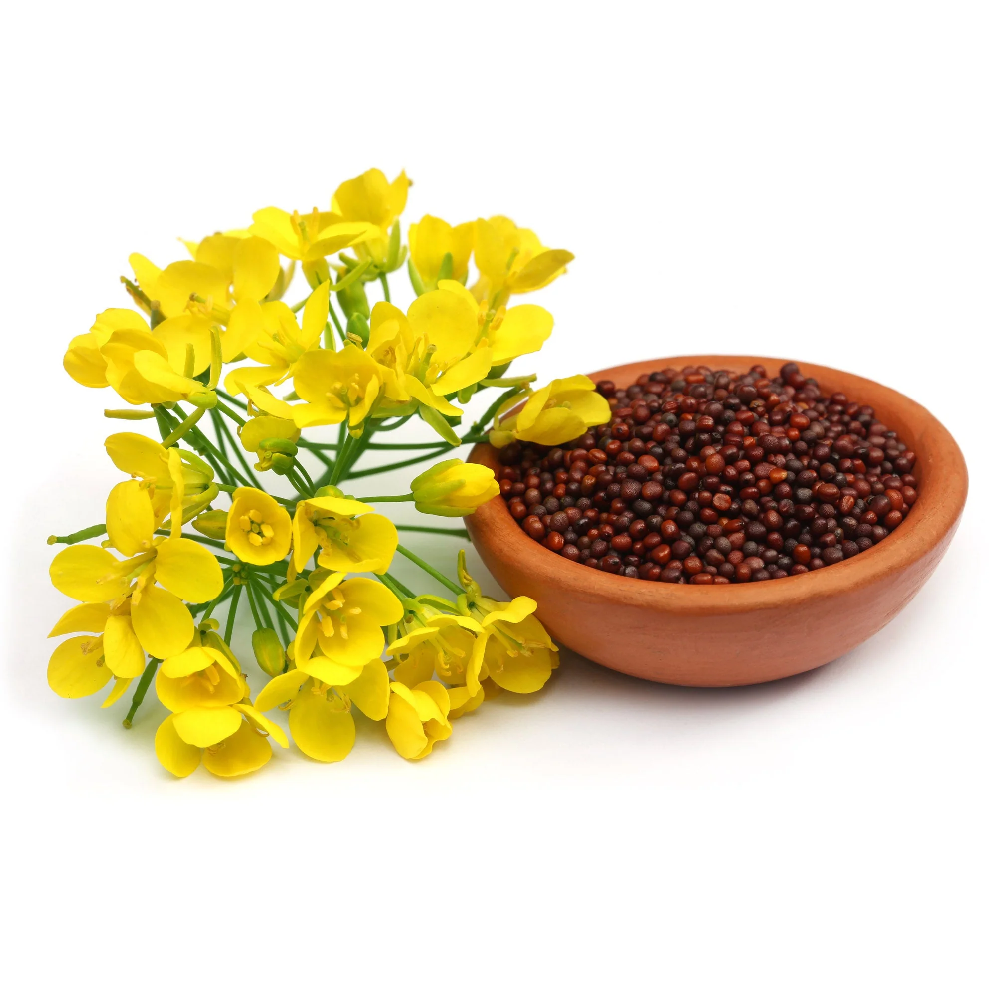 Brown Mustard Seeds (Whole) - Image 9