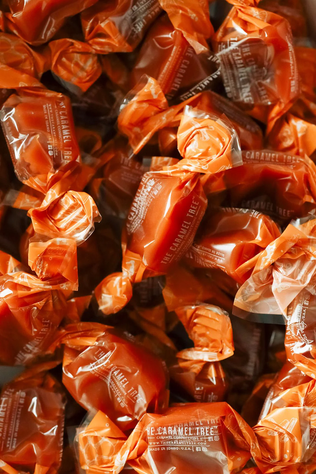 Bulk Individually Wrapped Caramels – 5 lbs - Image 5