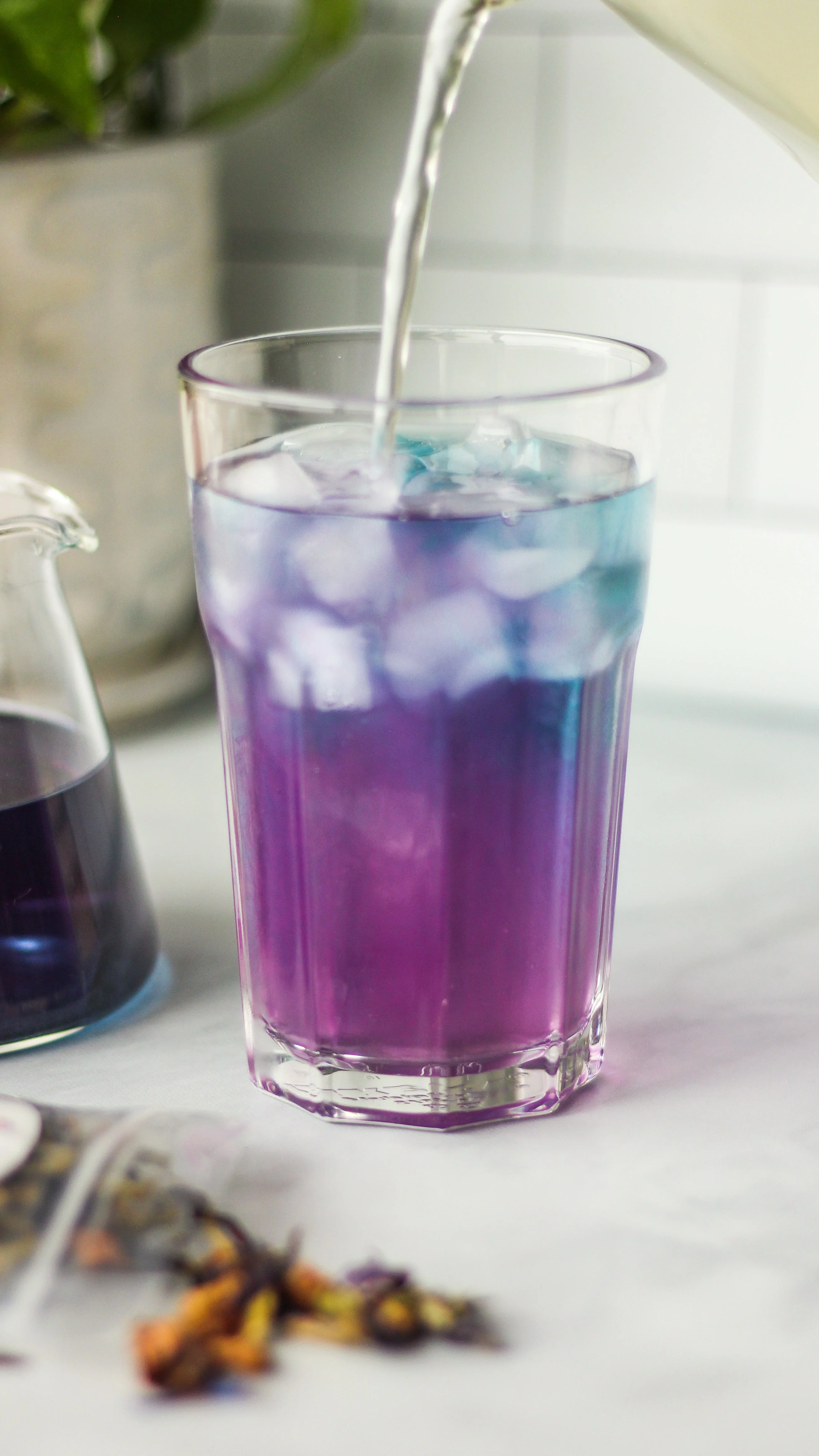 Butterfly Pea Sampler Kit - Image 2