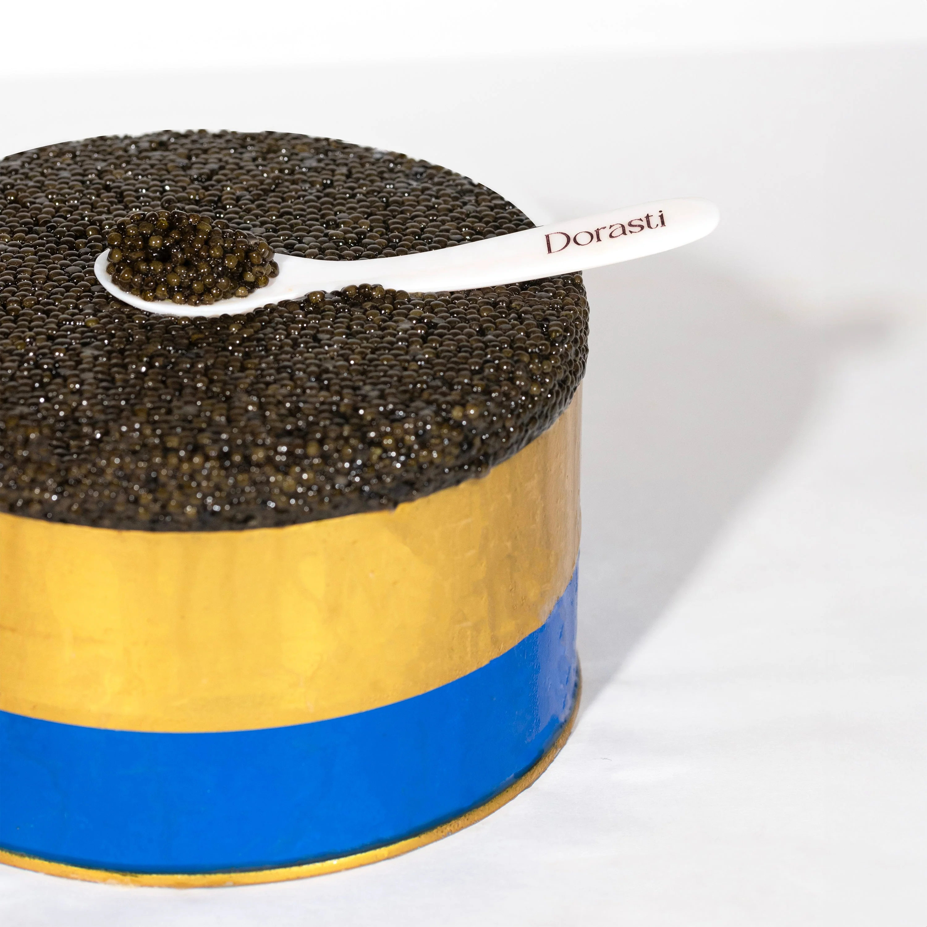 Caviar Party Kit - Image 4