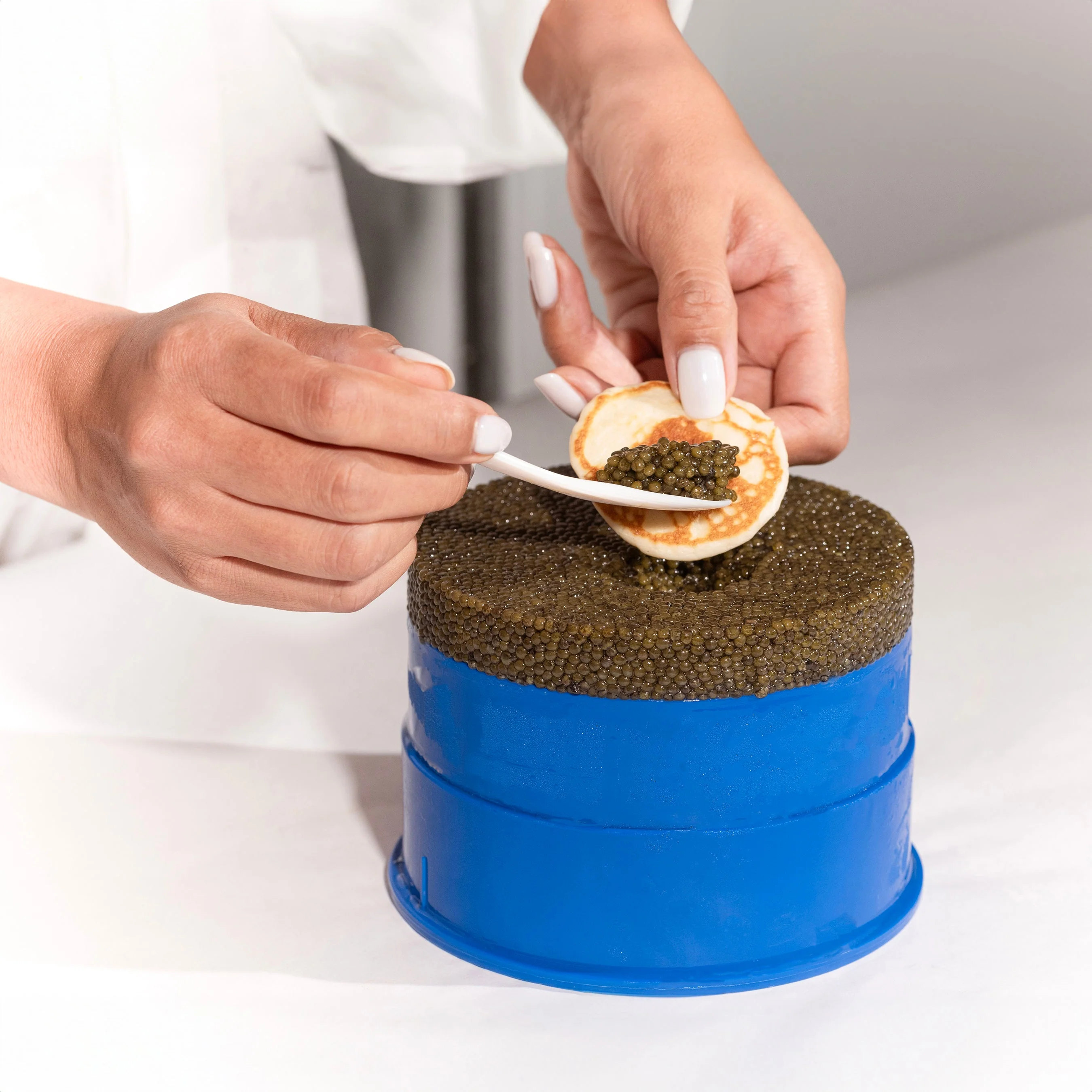 Caviar Party Kit - Image 6