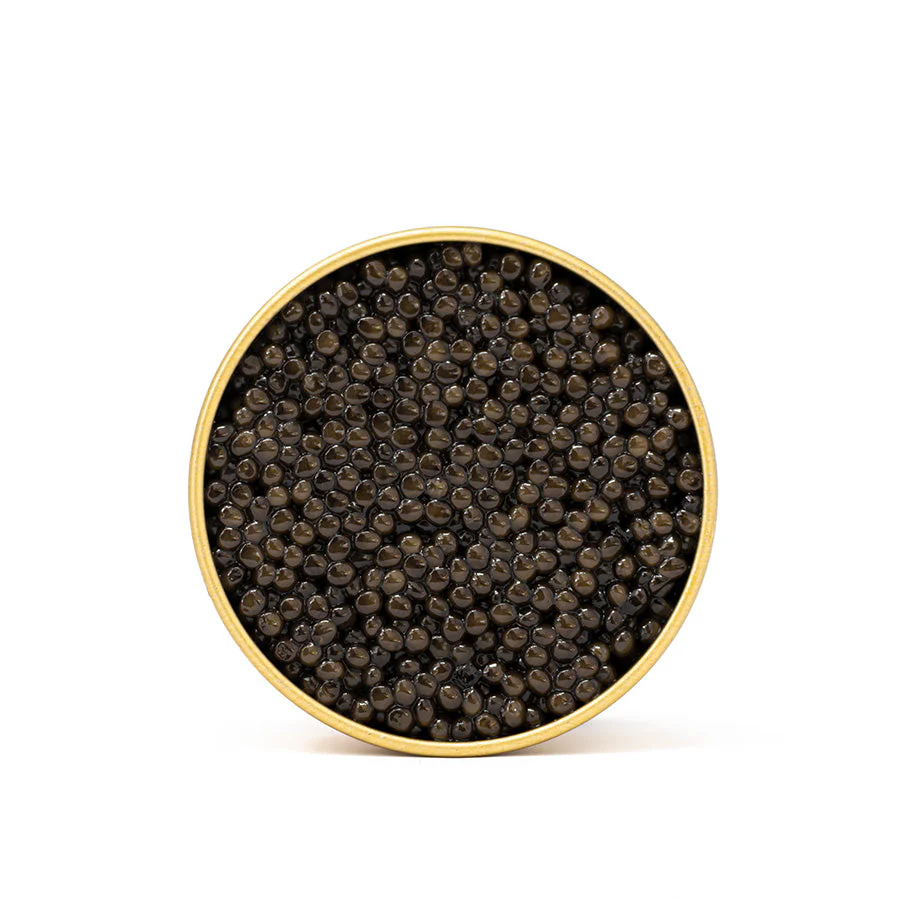 Caviar & Uni Pasta Kit - Image 2