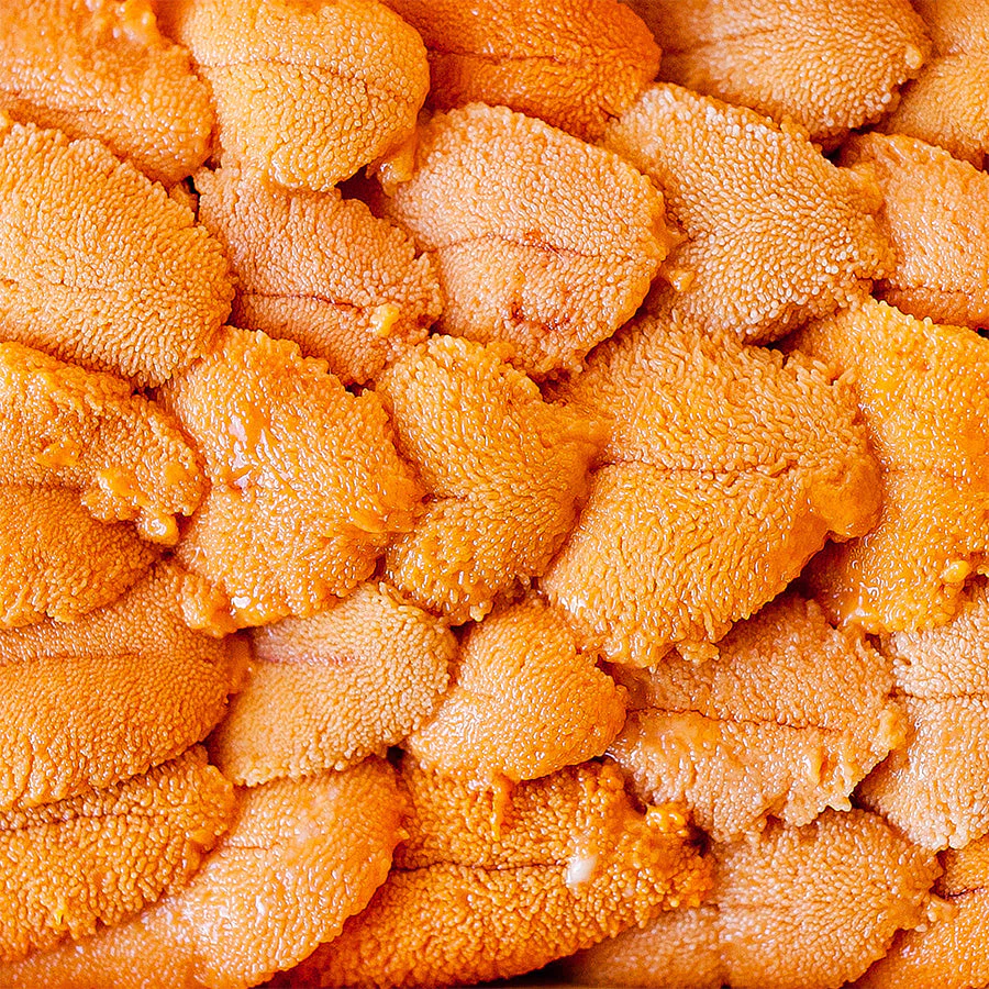 Caviar & Uni Pasta Kit - Image 3