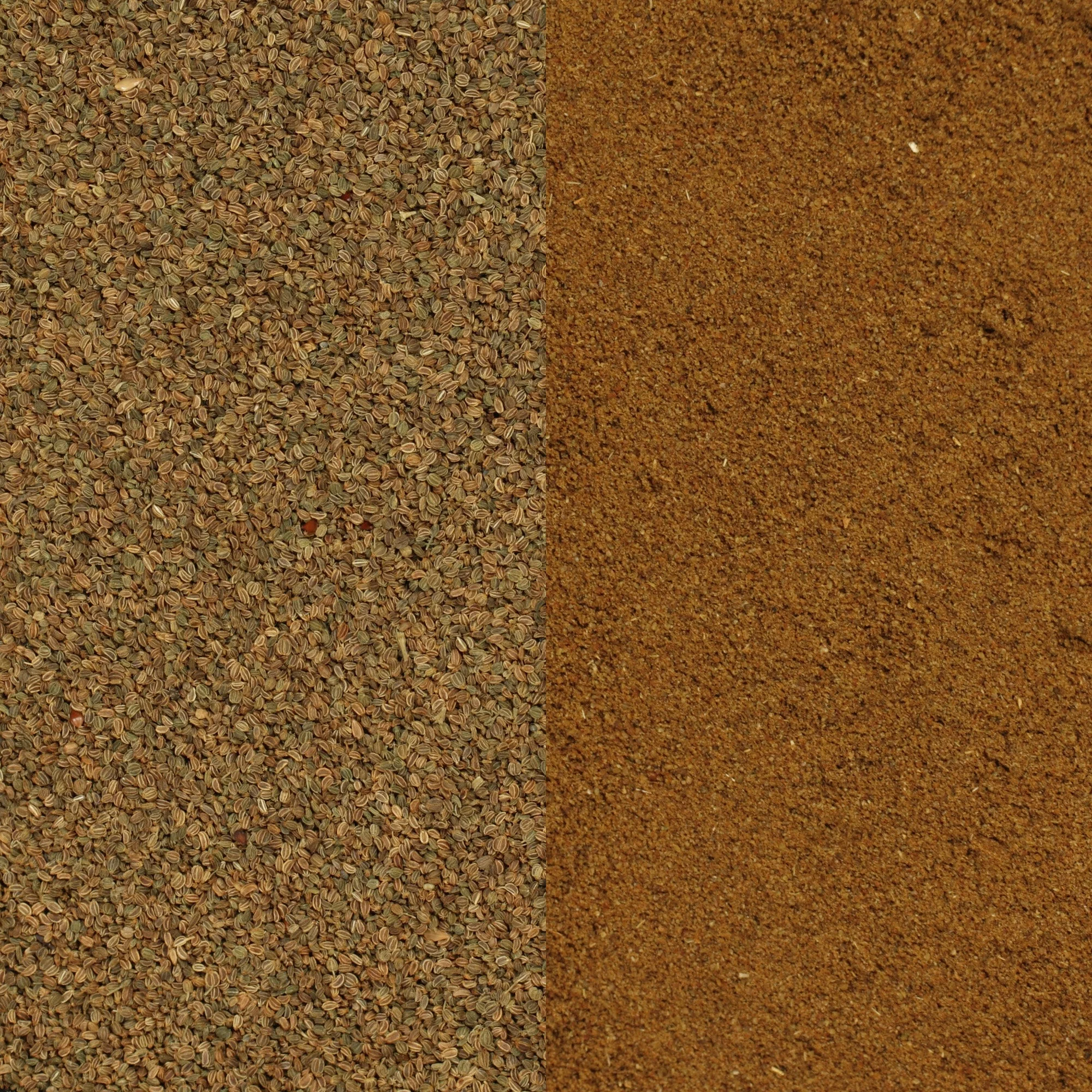 Celery Seeds (Whole) - Image 11