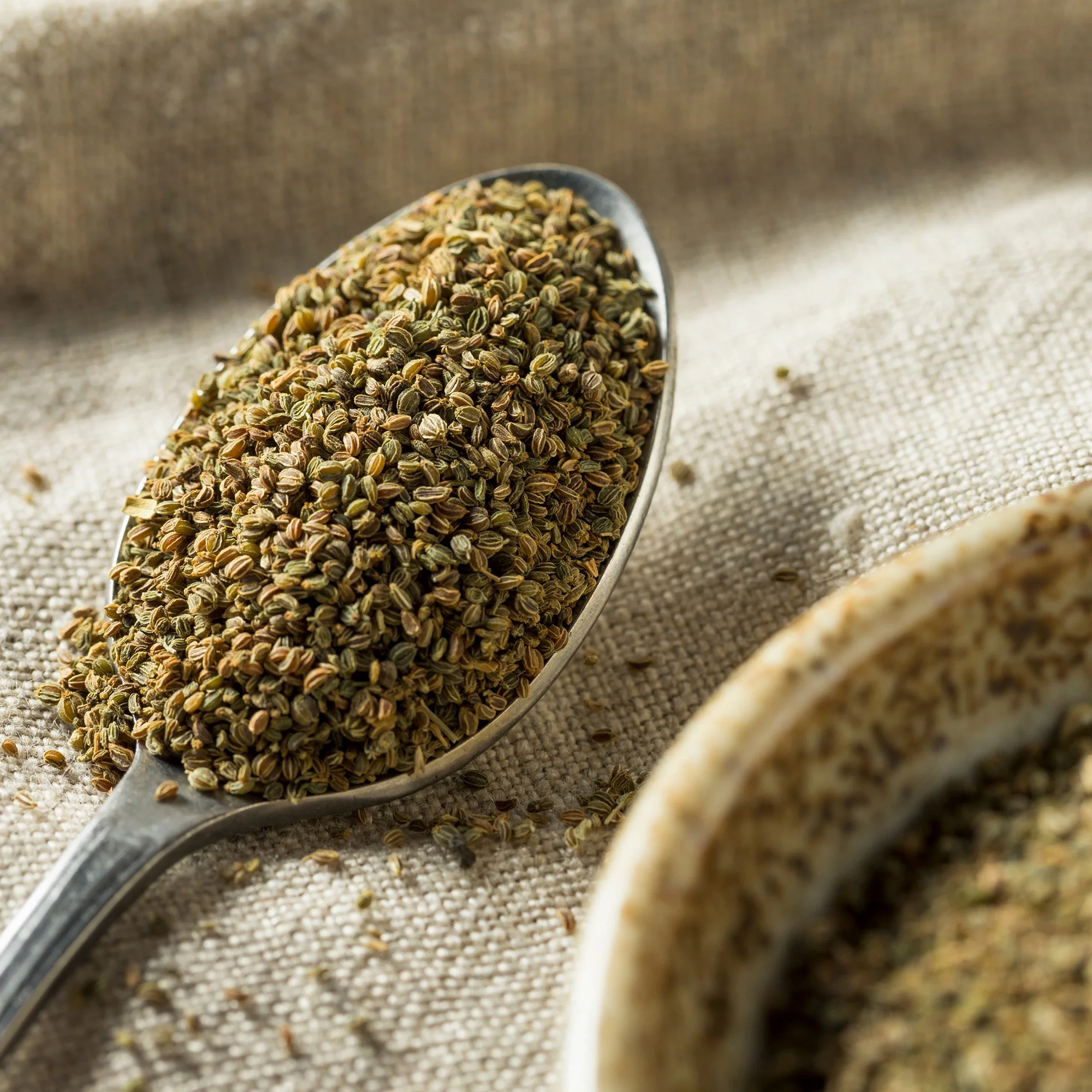 Celery Seeds (Whole) - Image 4