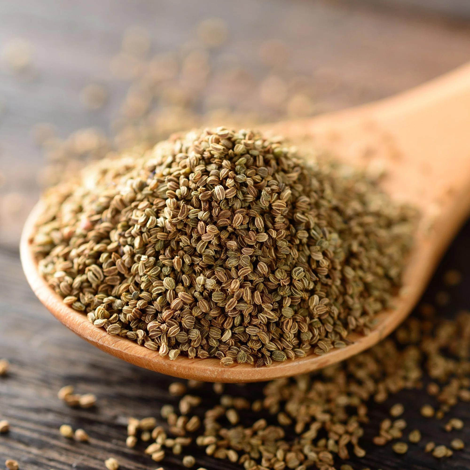Celery Seeds (Whole) - Image 5