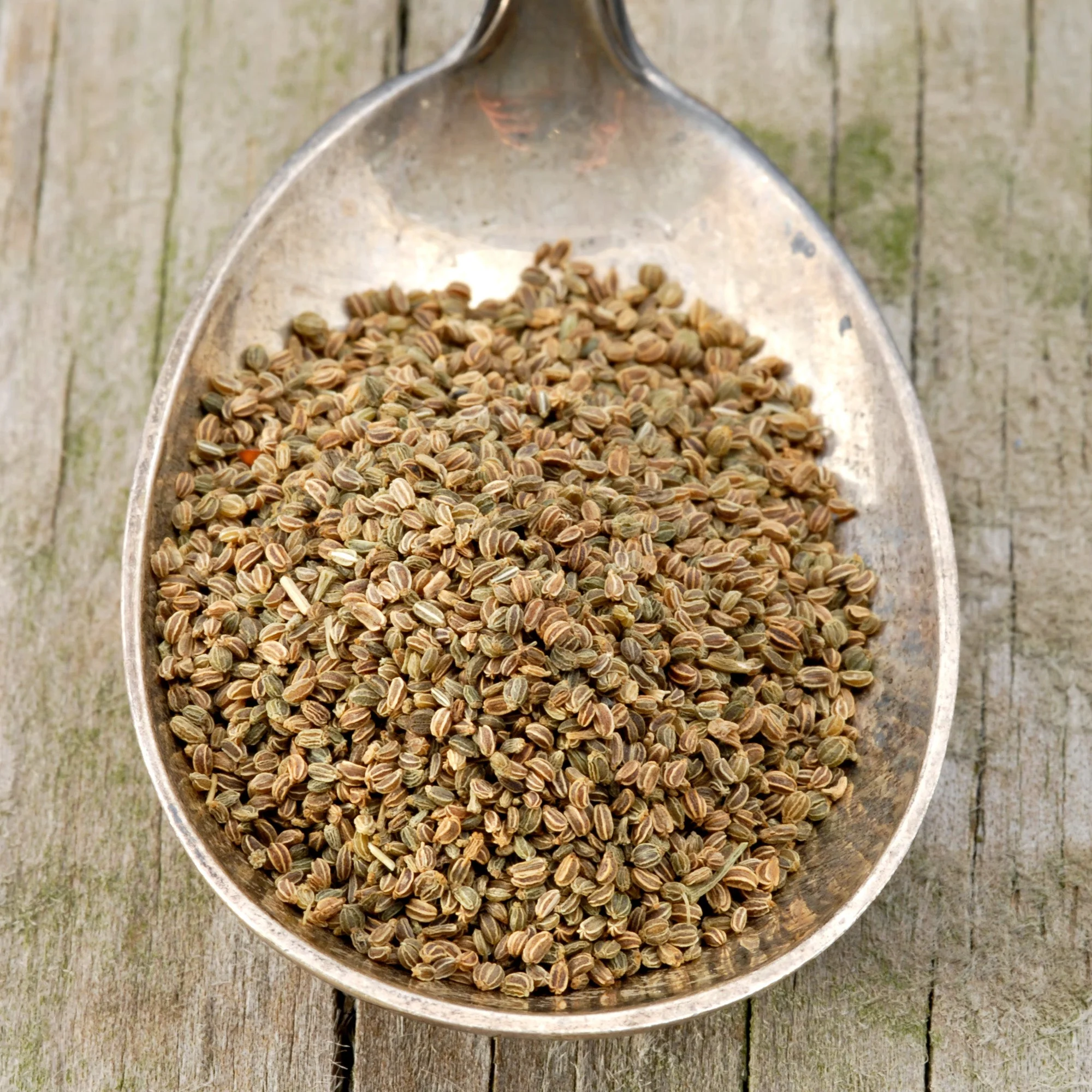 Celery Seeds (Whole) - Image 6