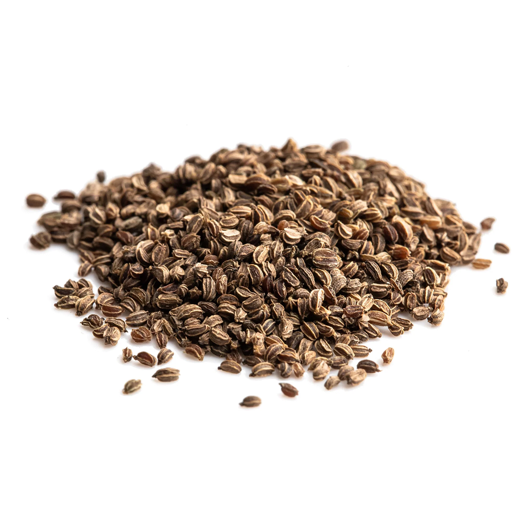 Celery Seeds (Whole) - Image 8