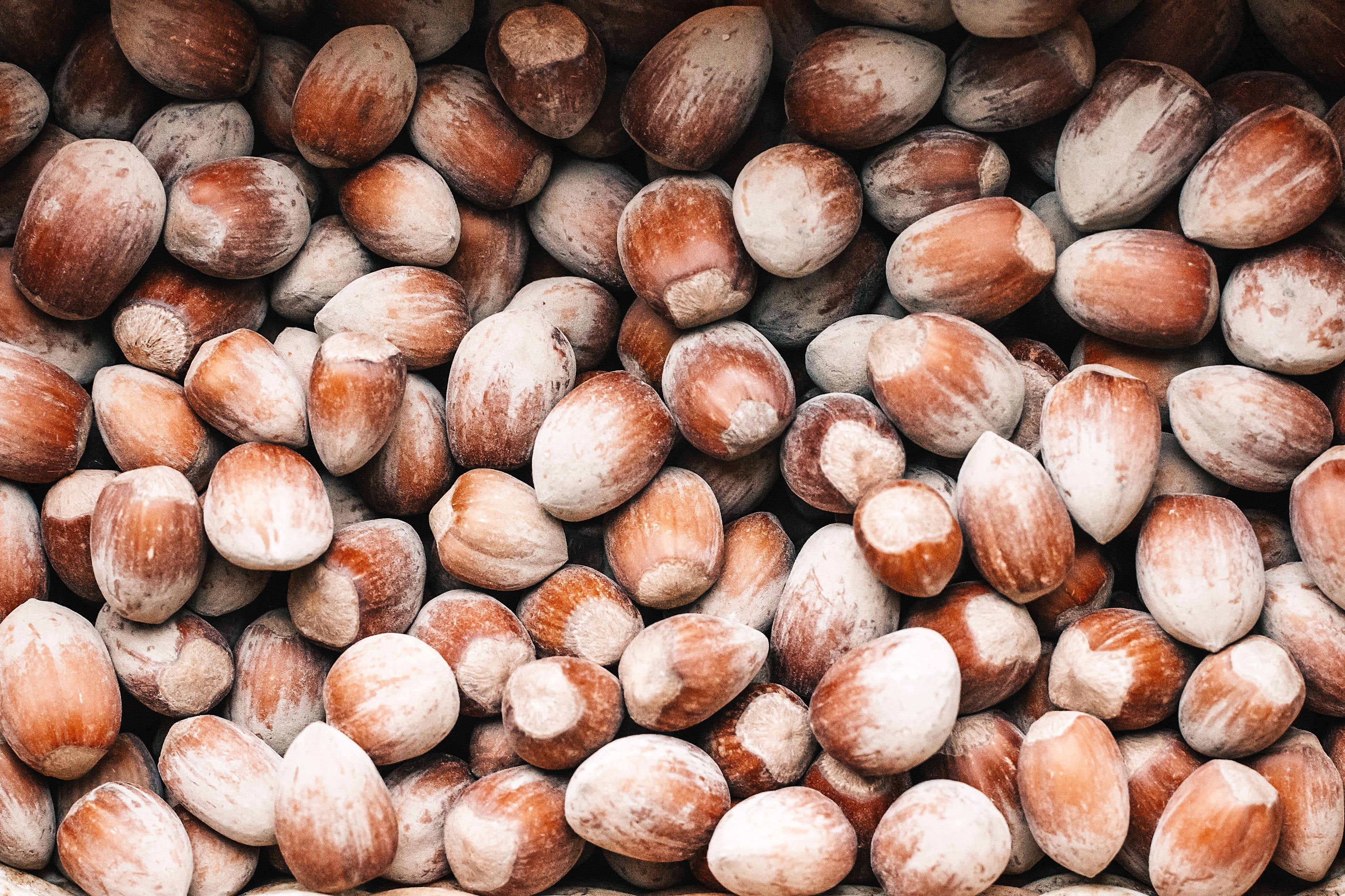 Chestnut Flour - Image 4