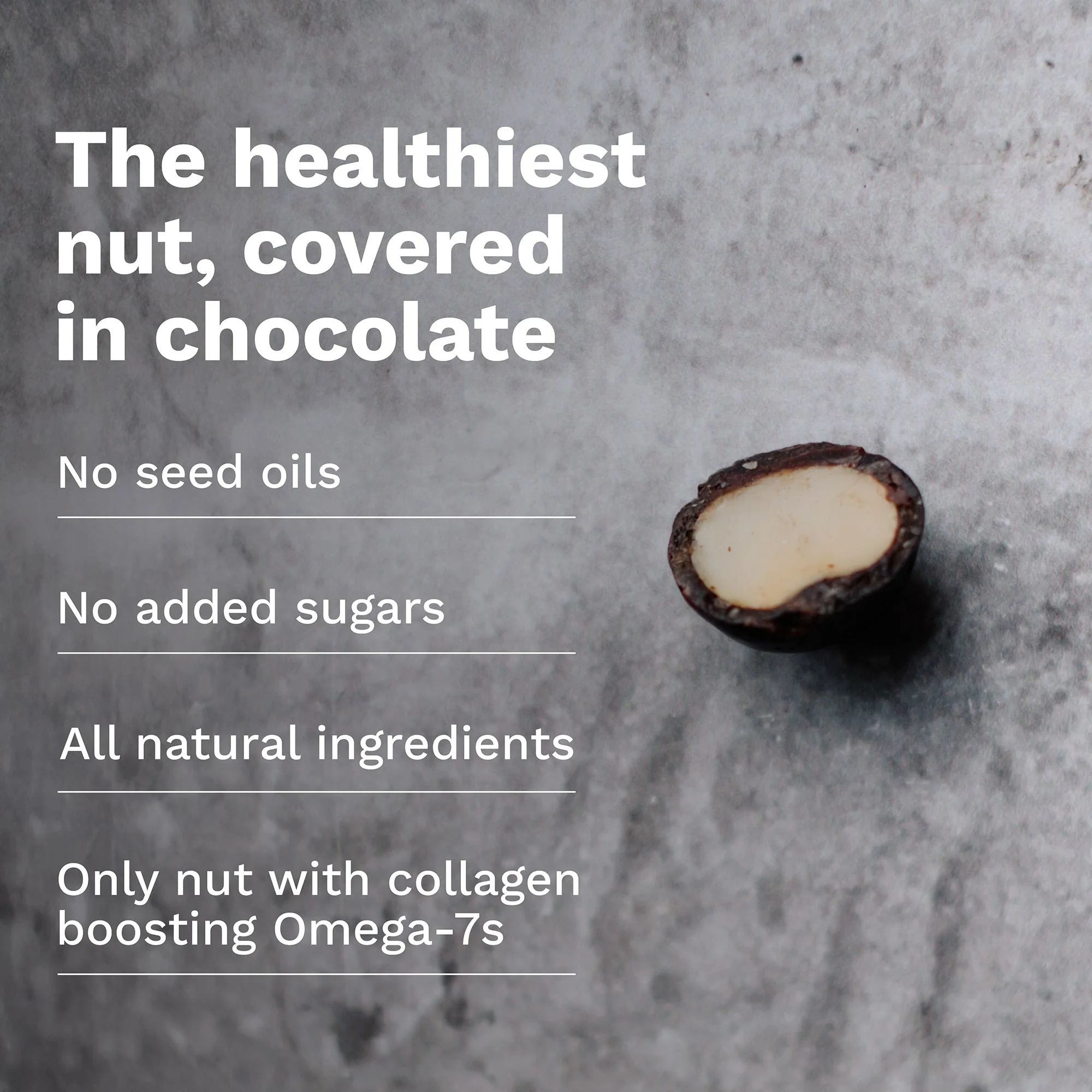 Chocolate Dipped Macadamia Nuts (12 Bags) - Image 5