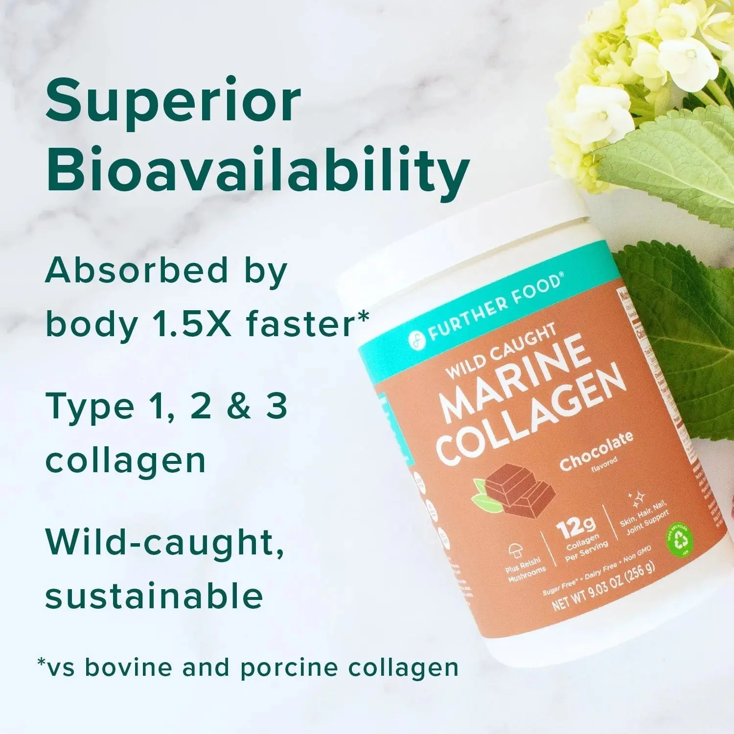 Chocolate Marine Collagen Powder - Image 3