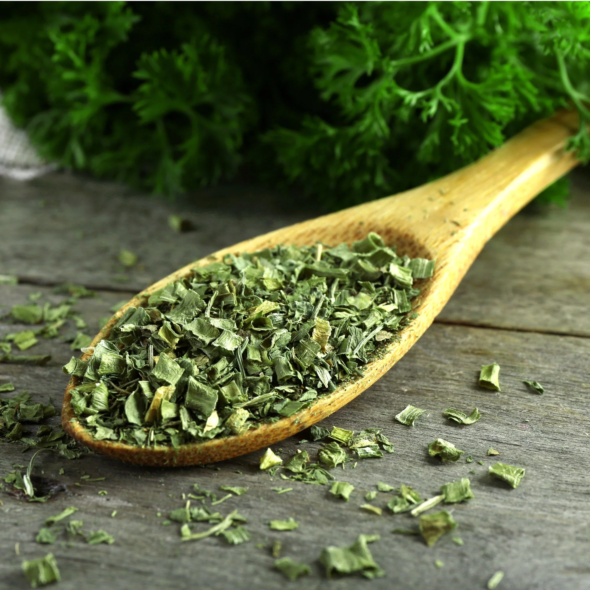 Cilantro (Whole Leaf) - Image 4