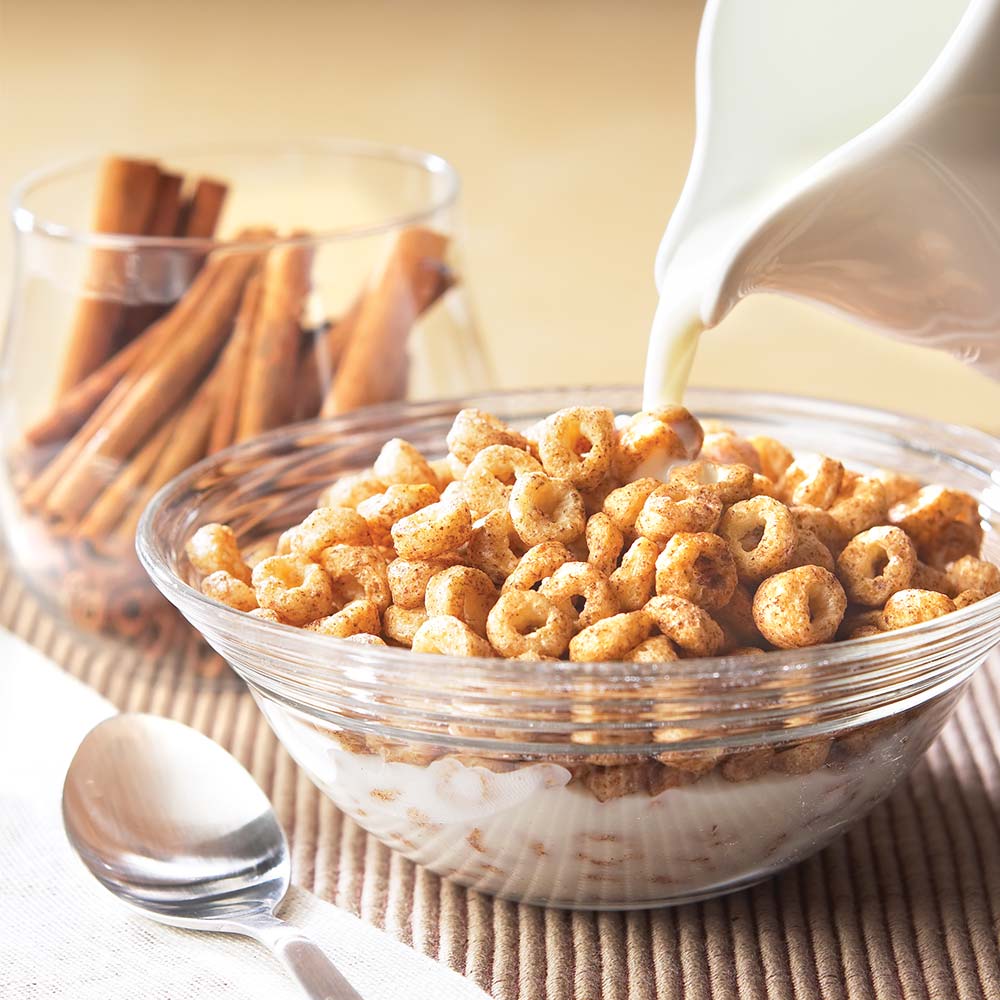 Cinnamon Protein Cereal - High Protein & Fiber, Low Carb - Image 2