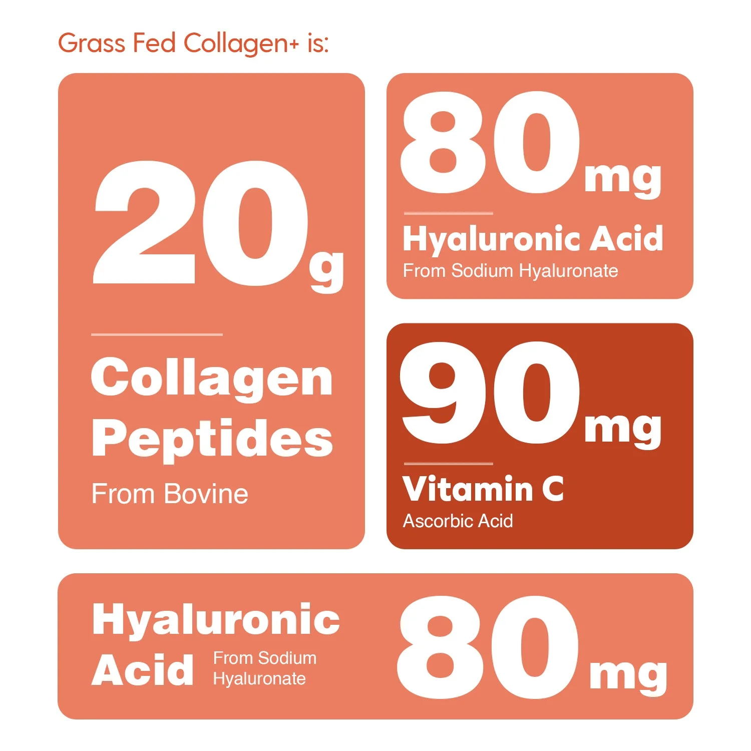 Collagen+ with Hydrolyzed Collagen Powder - Biotin - Hyaluronic Acid & Vitamin C - Image 5