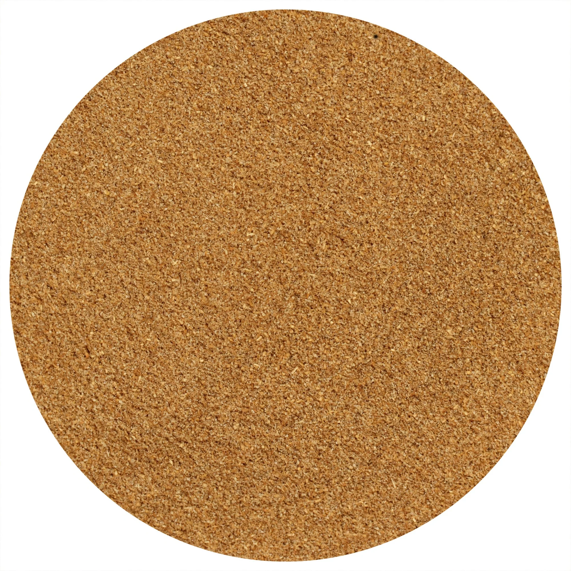 Coriander (Ground) - Image 2