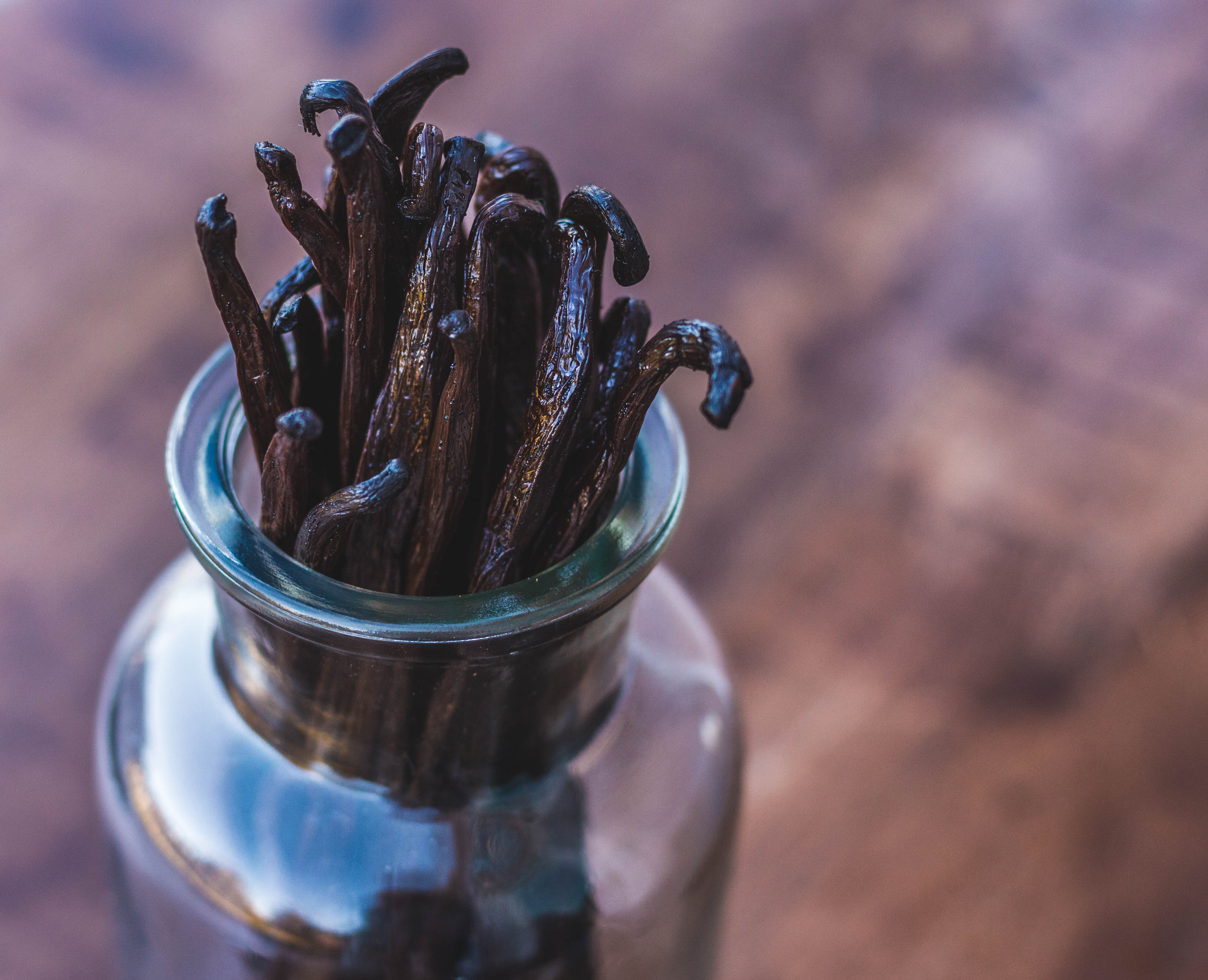Costa Rica Vanilla Beans - Whole Grade A Hybrid Vanilla Pods for Vanilla Extract and Baking - Image 4