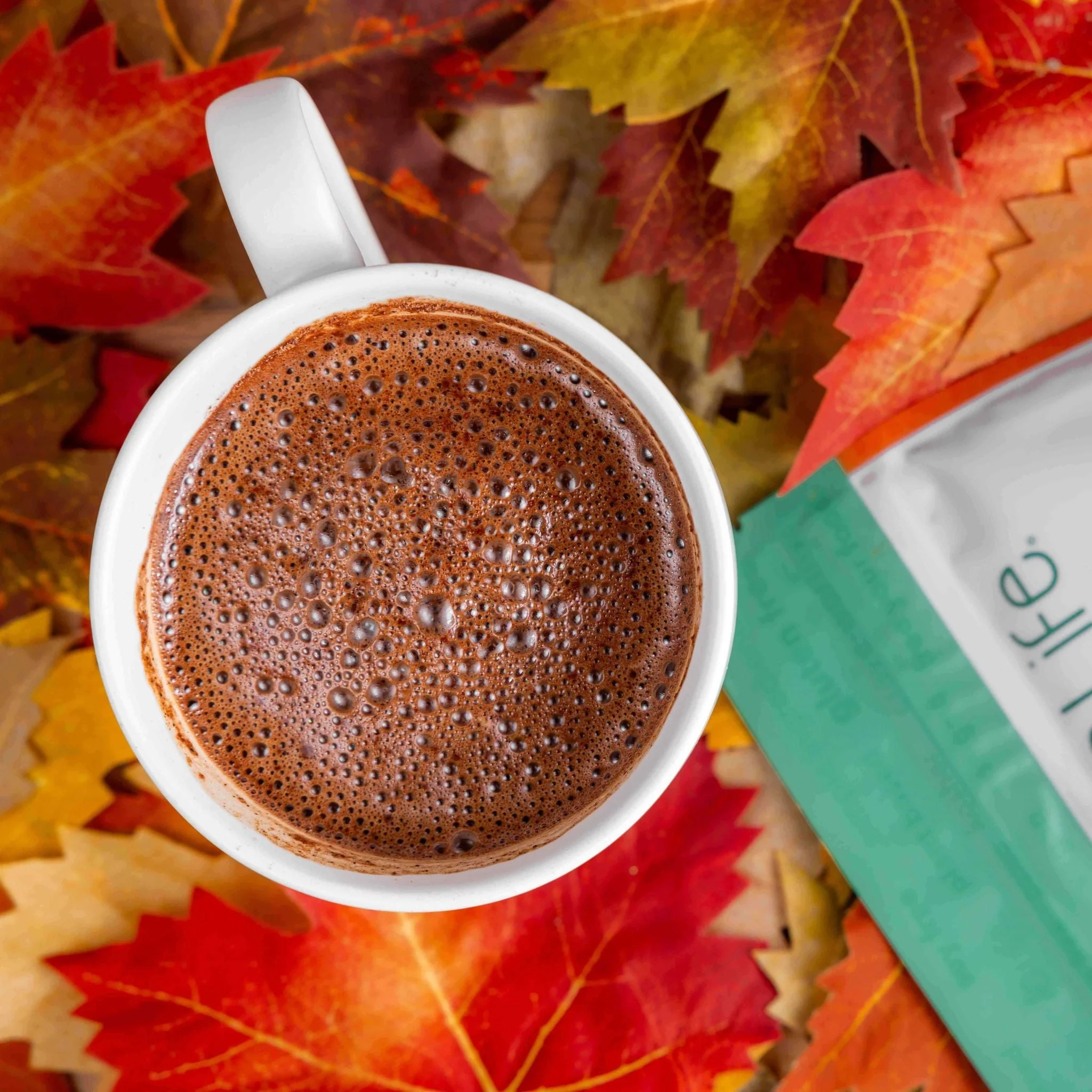 Dairy Free Pumpkin Spice Hot Cocoa Mix | 10 Serving Stand Up Pouch | Gluten Free, Vegan, Organic - Image 3