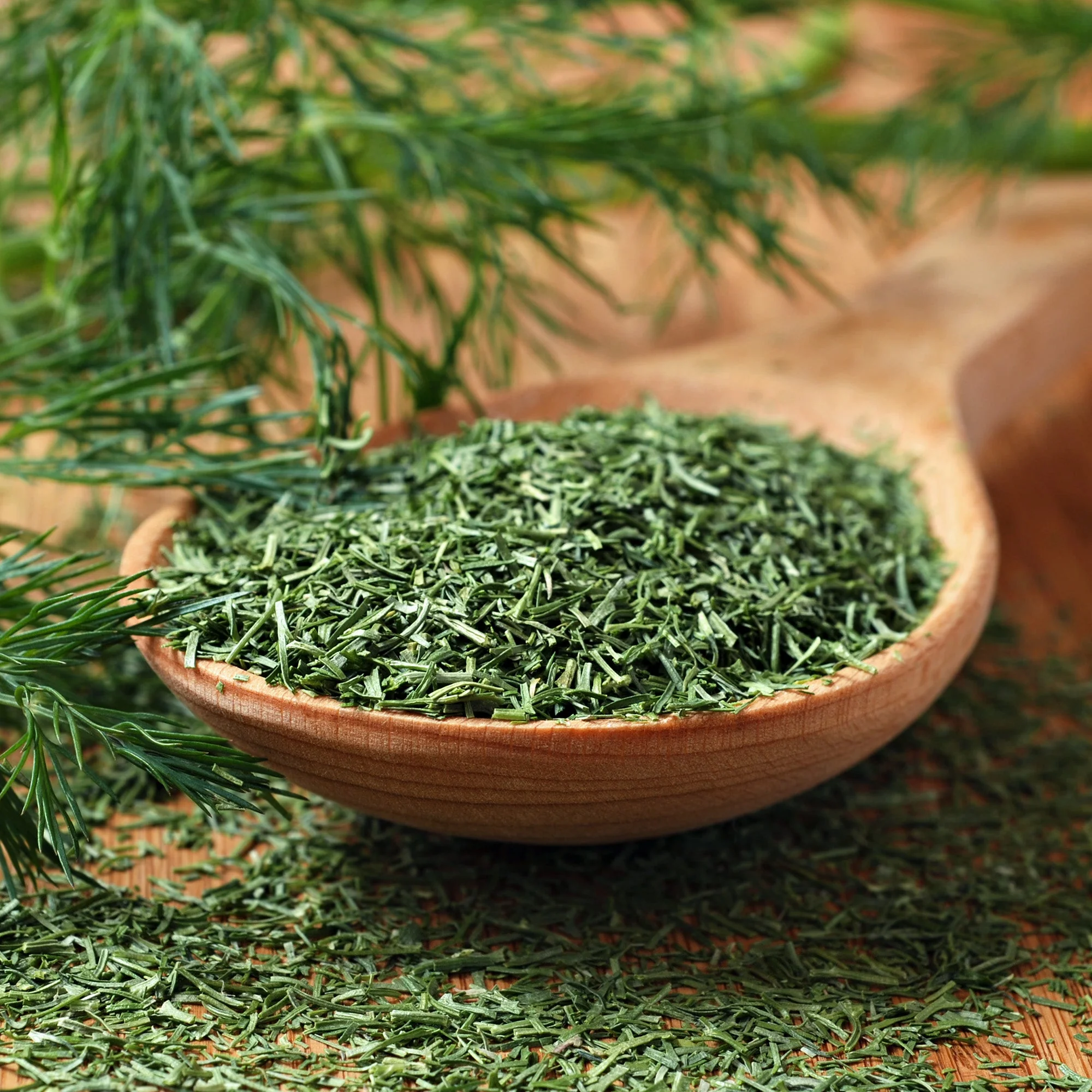 Dill Weed (Whole) - Image 4