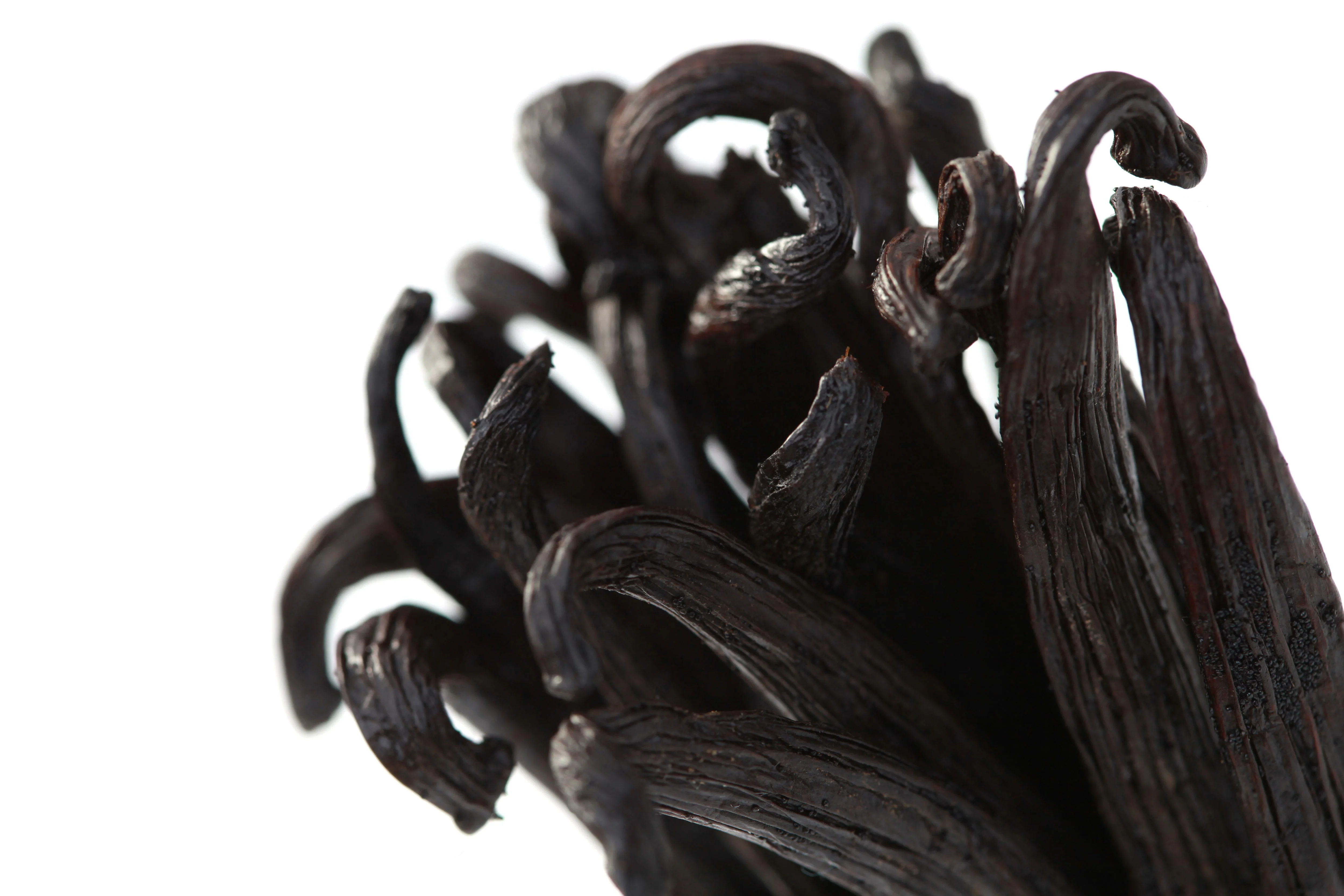 Ecuadorian Vanilla Beans - Whole Grade A Pods for Baking and Extract Making - Image 2