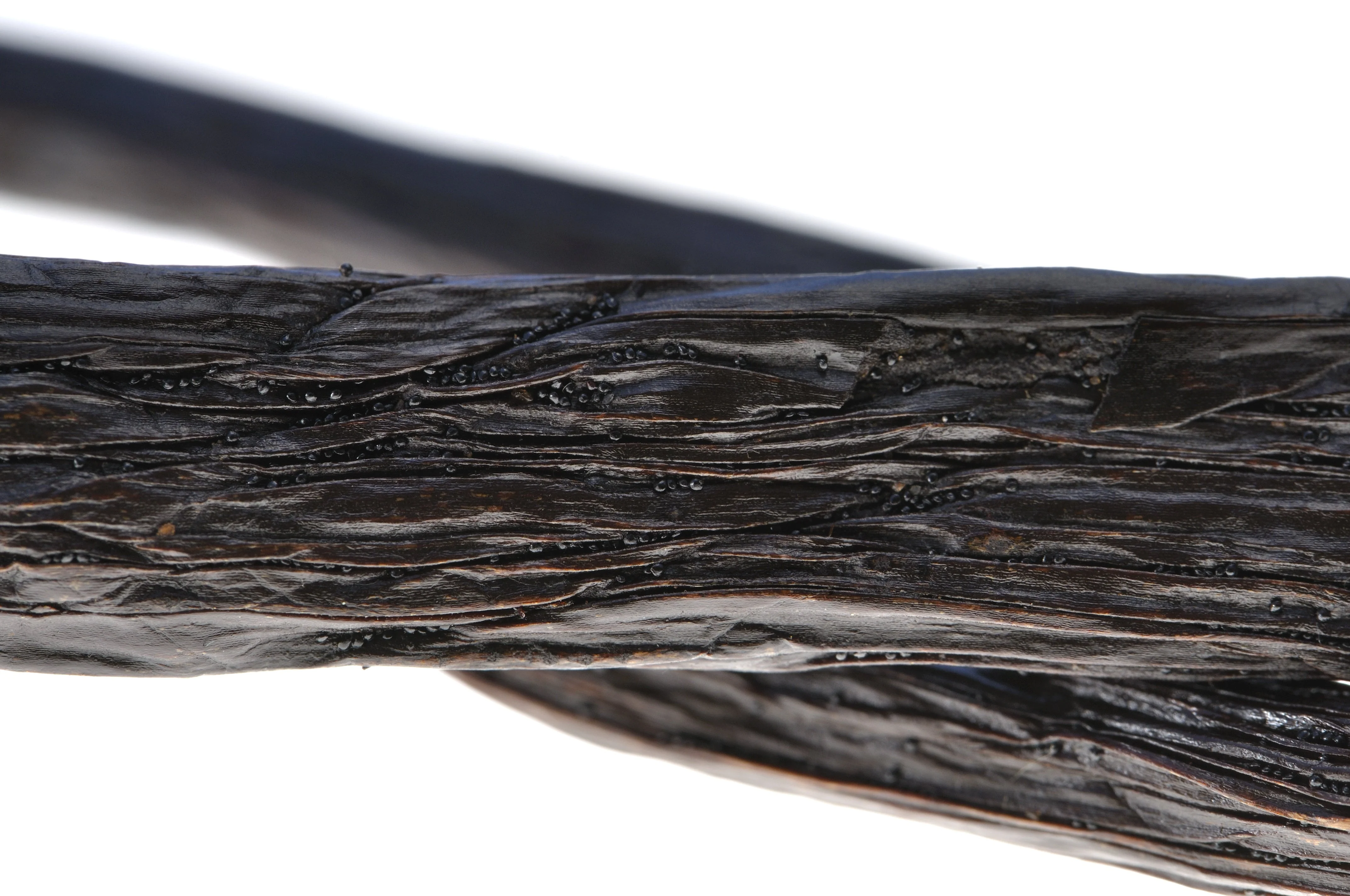 Ecuadorian Vanilla Beans - Whole Grade A Pods for Baking and Extract Making - Image 3