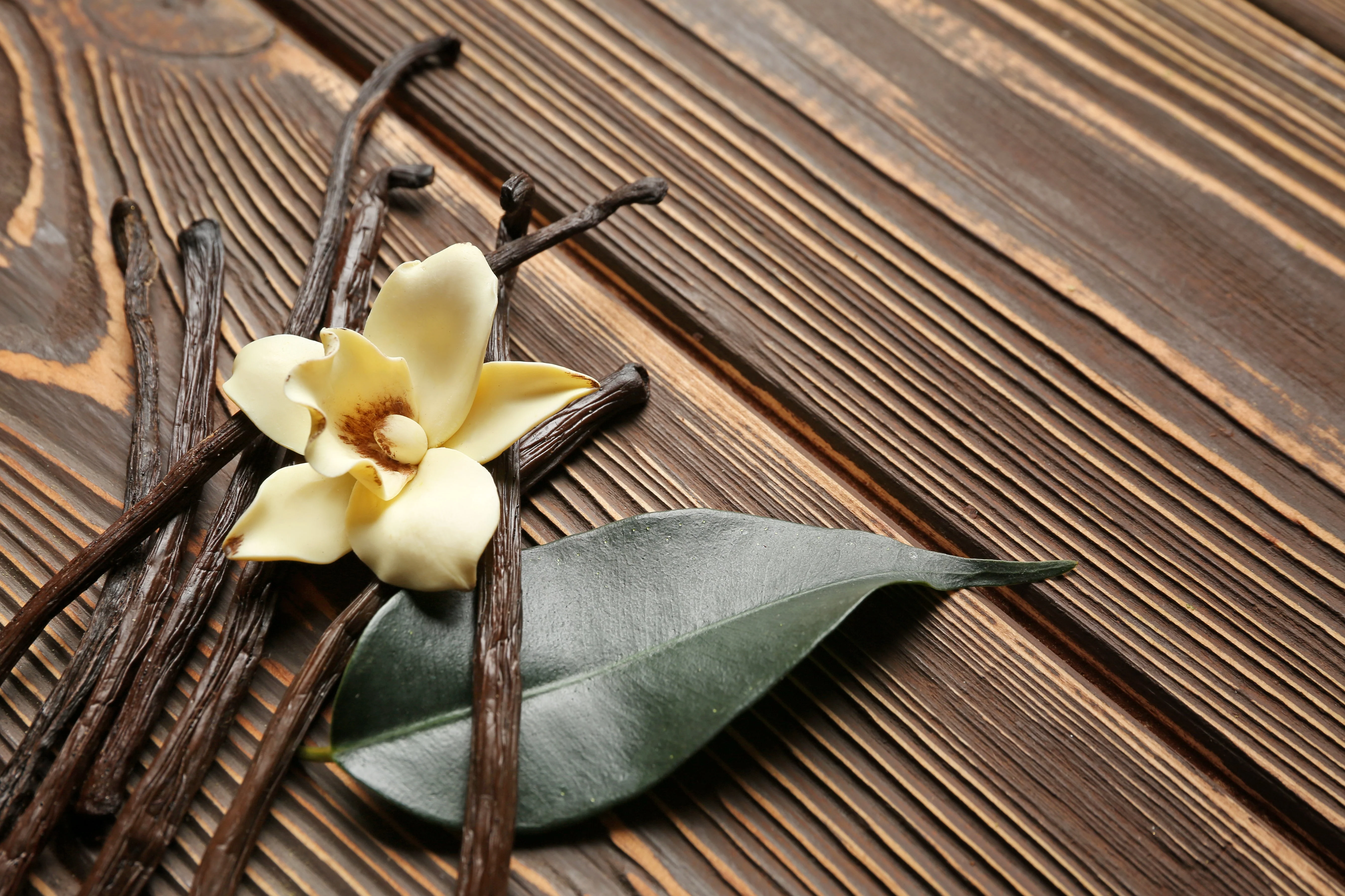 Ecuadorian Vanilla Beans - Whole Grade A Pods for Baking and Extract Making - Image 6
