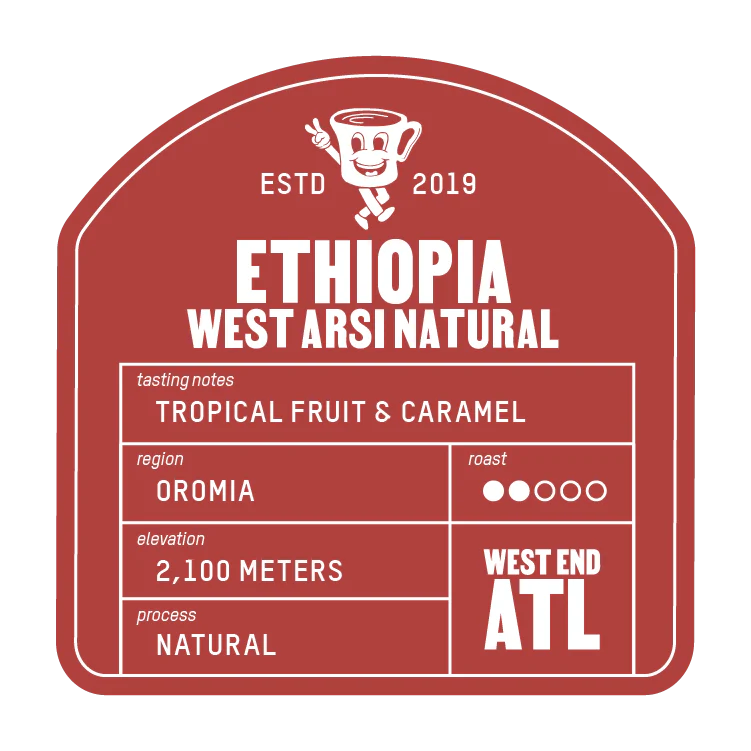 ETHIOPIA WEST ARSI NATURAL - Image 2