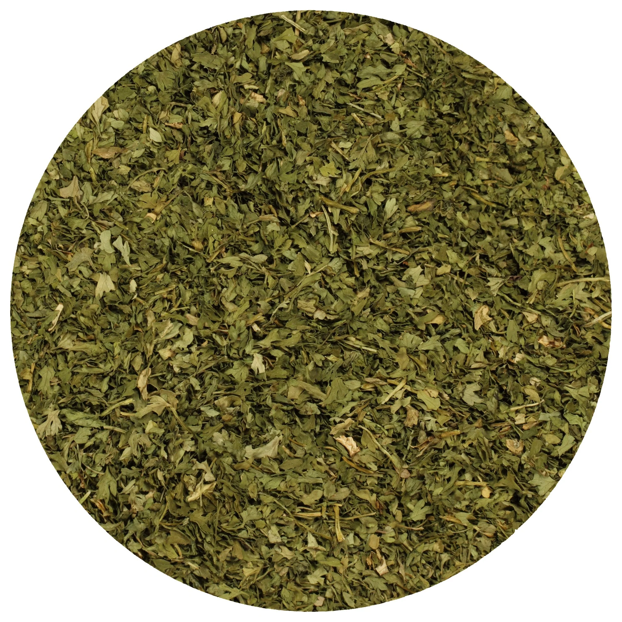 Fancy Chervil - Image 2