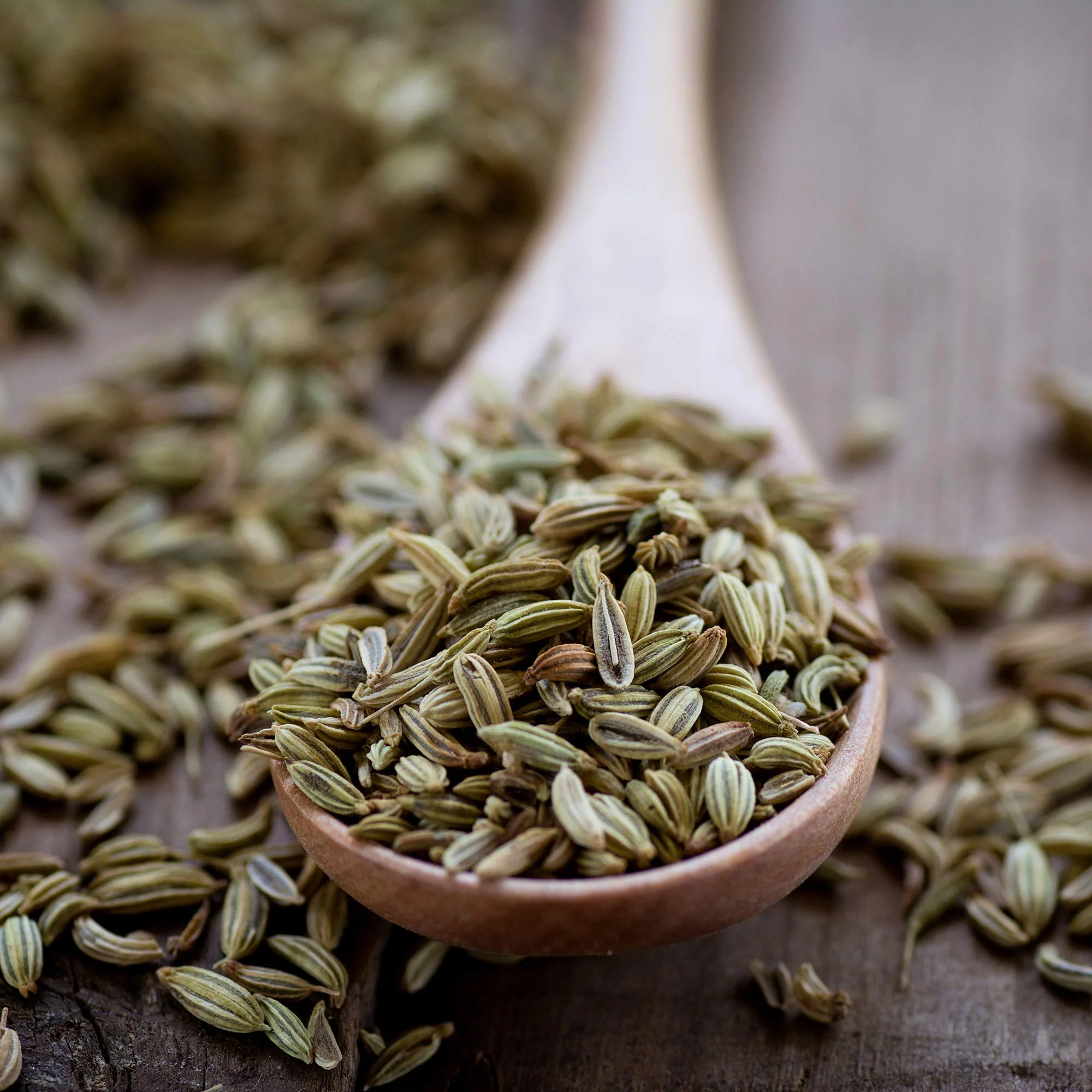 Fennel Seeds (Whole) - Image 4