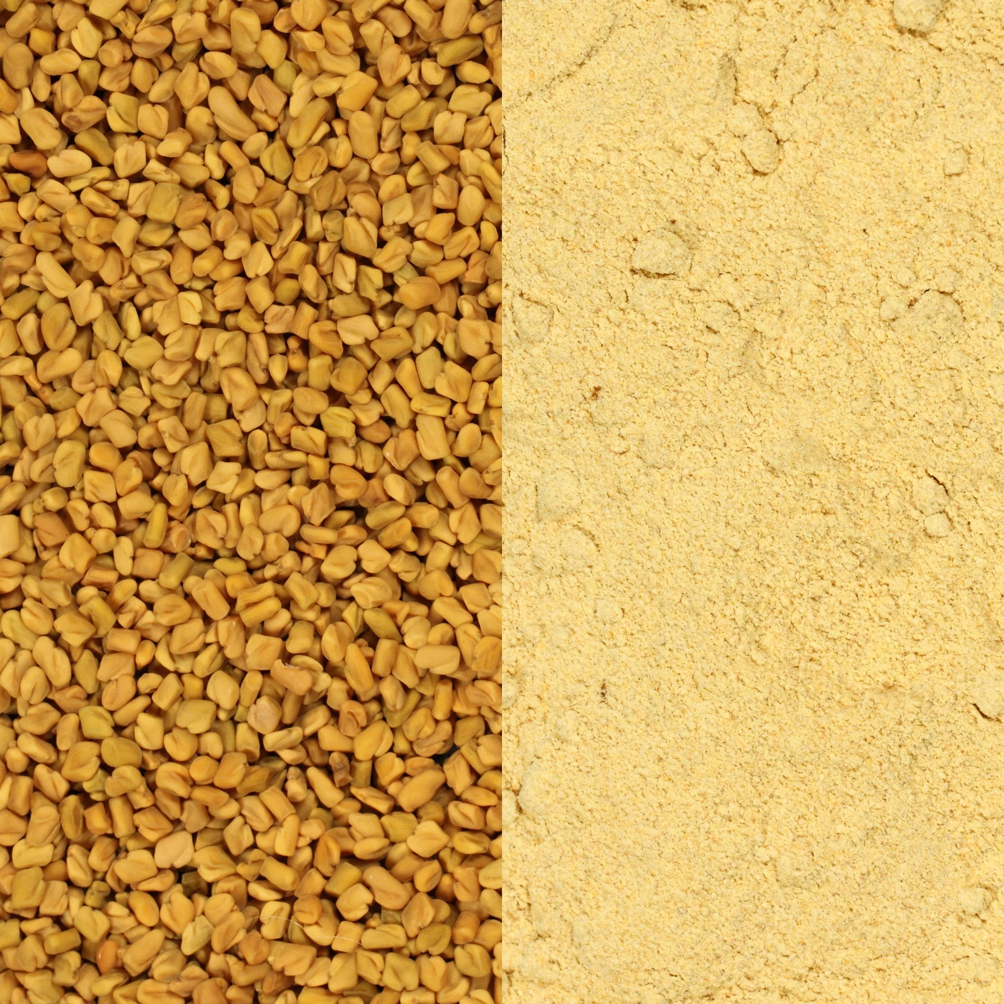 Fenugreek Seeds (Whole) - Image 10
