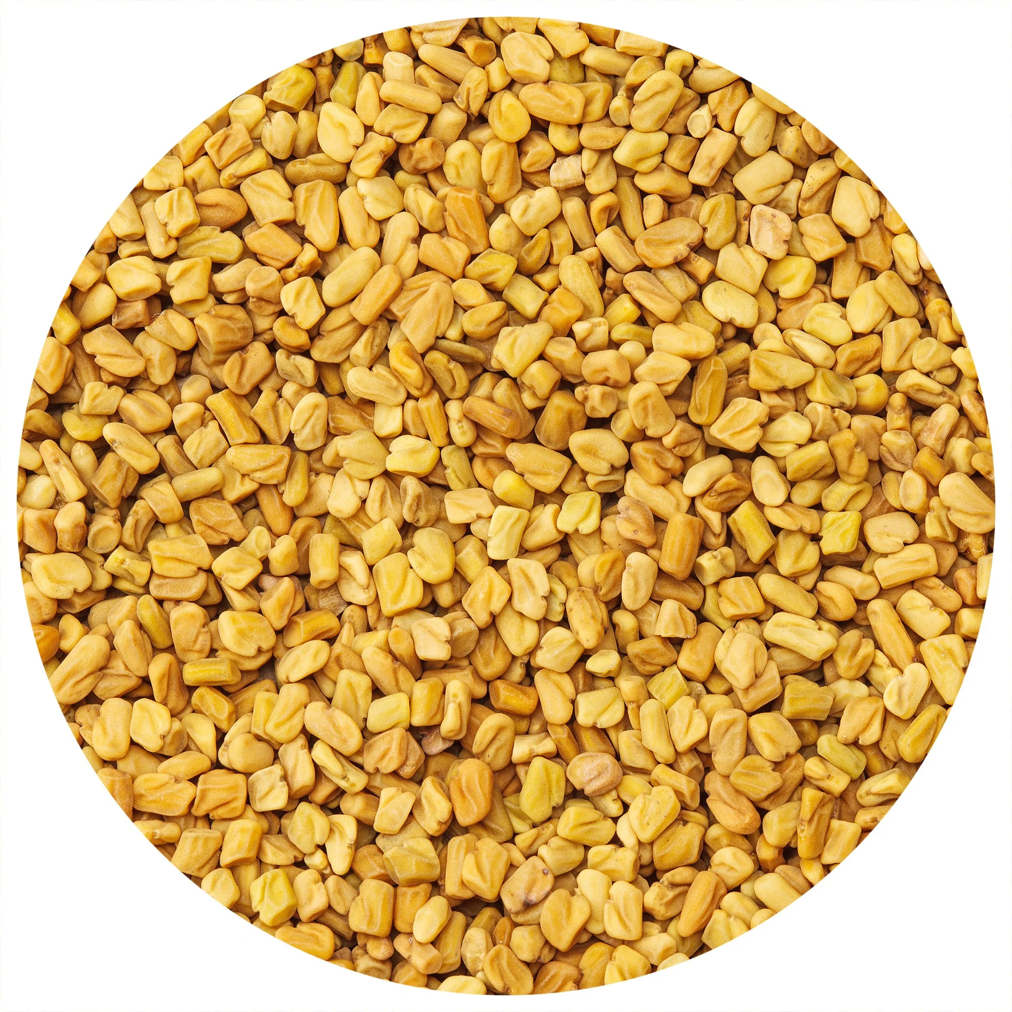 Fenugreek Seeds (Whole) - Image 2