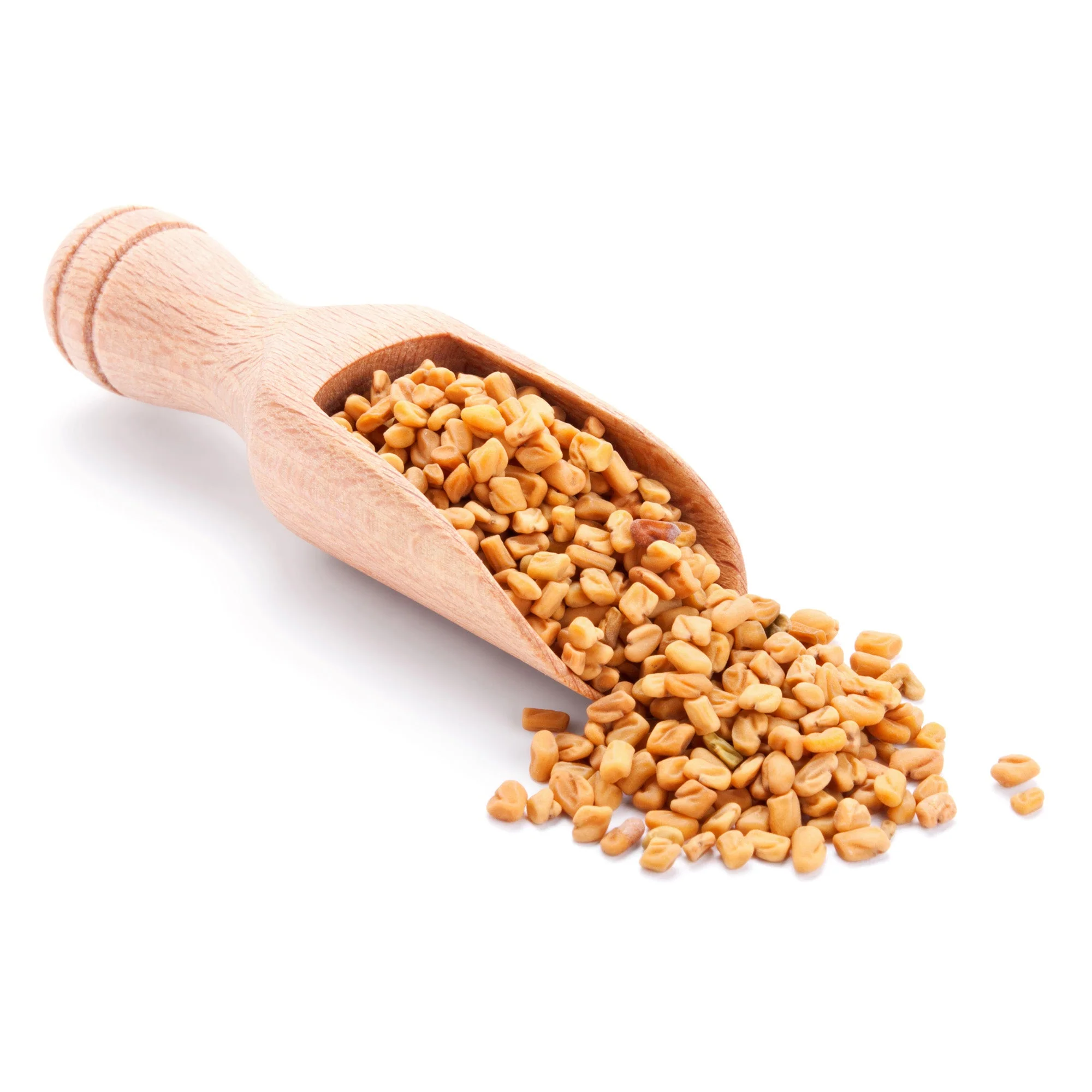 Fenugreek Seeds (Whole) - Image 5