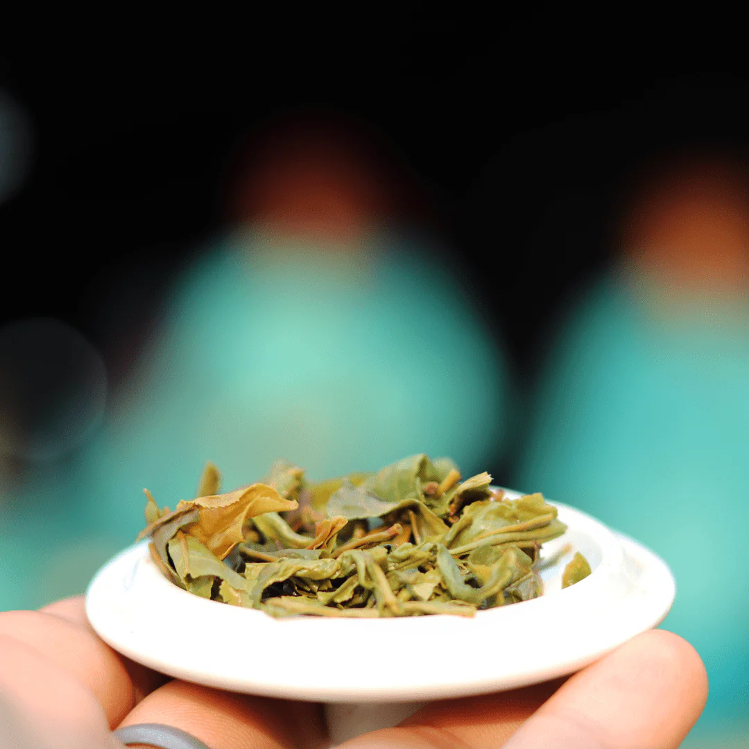First Flush Black Tea - Image 5