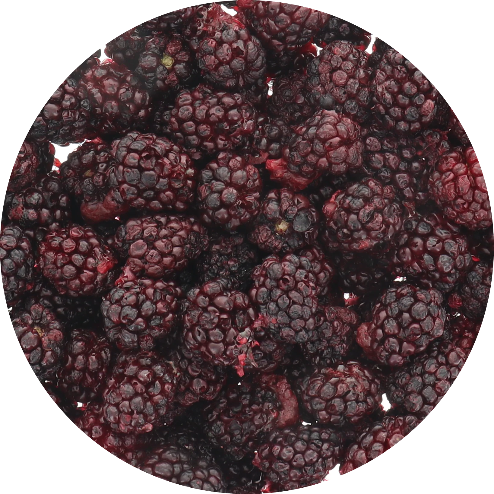 Freeze Dried Blackberry - Image 4