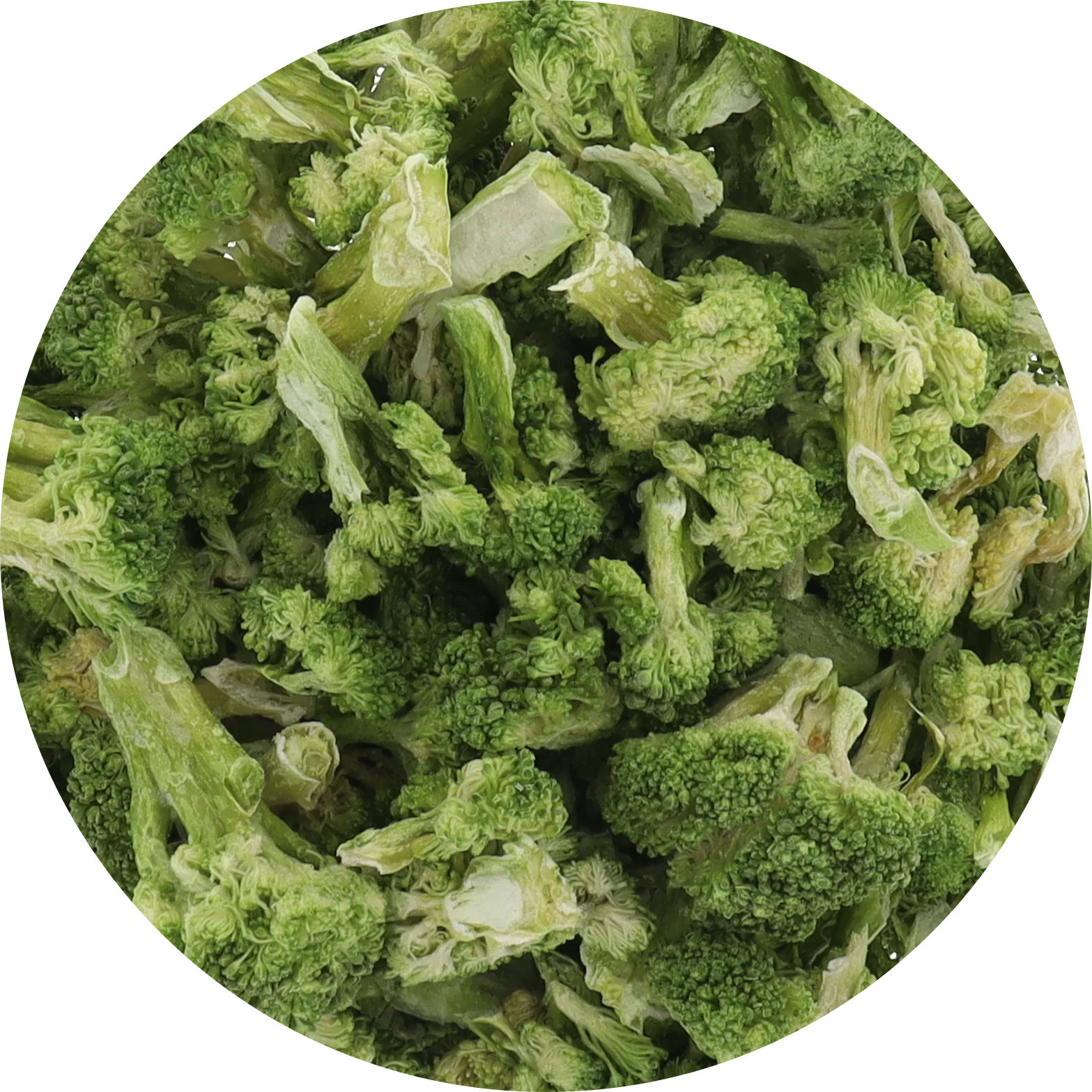 Freeze Dried Broccoli - Image 3