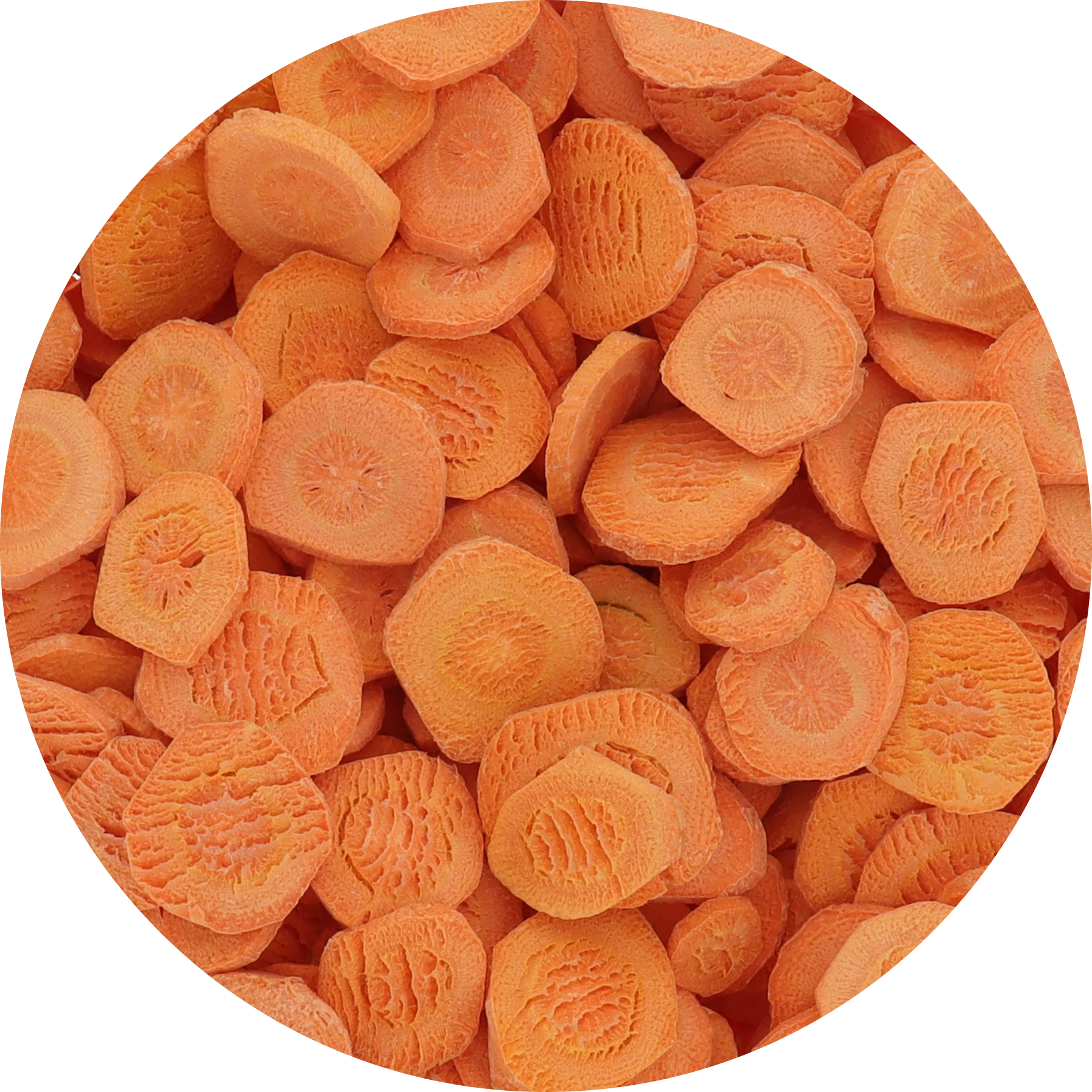 Freeze Dried Carrot Chips - Image 4